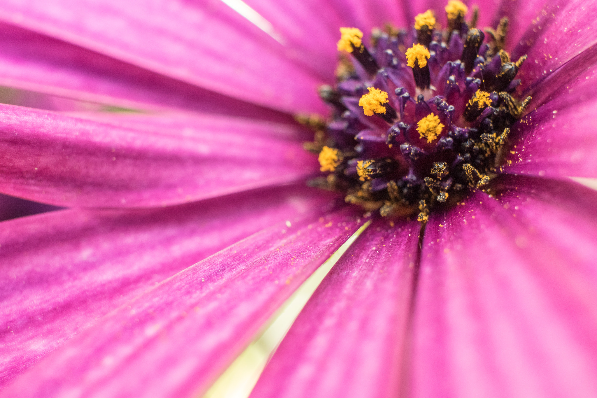 Canon EF-S 24mm F2.8 STM sample photo