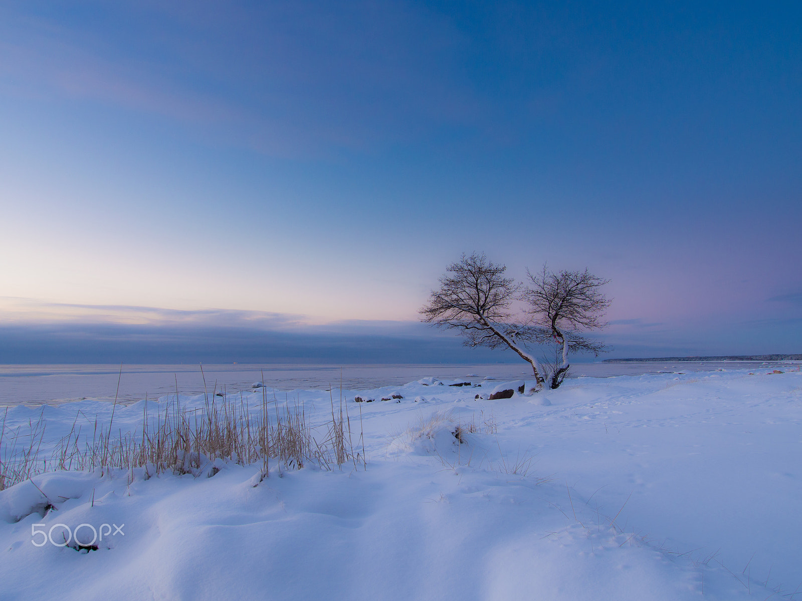 Olympus OM-D E-M5 sample photo. Winter beach 3 photography