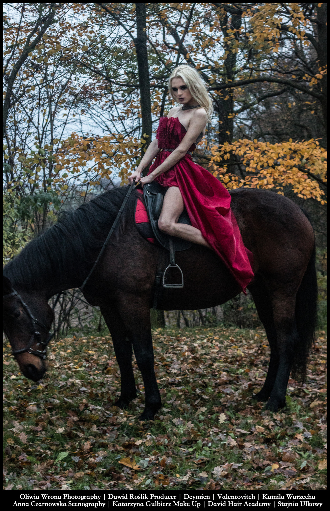 Canon EOS 760D (EOS Rebel T6s / EOS 8000D) + Canon EF 50mm F1.8 II sample photo. Kamila warzecha photography