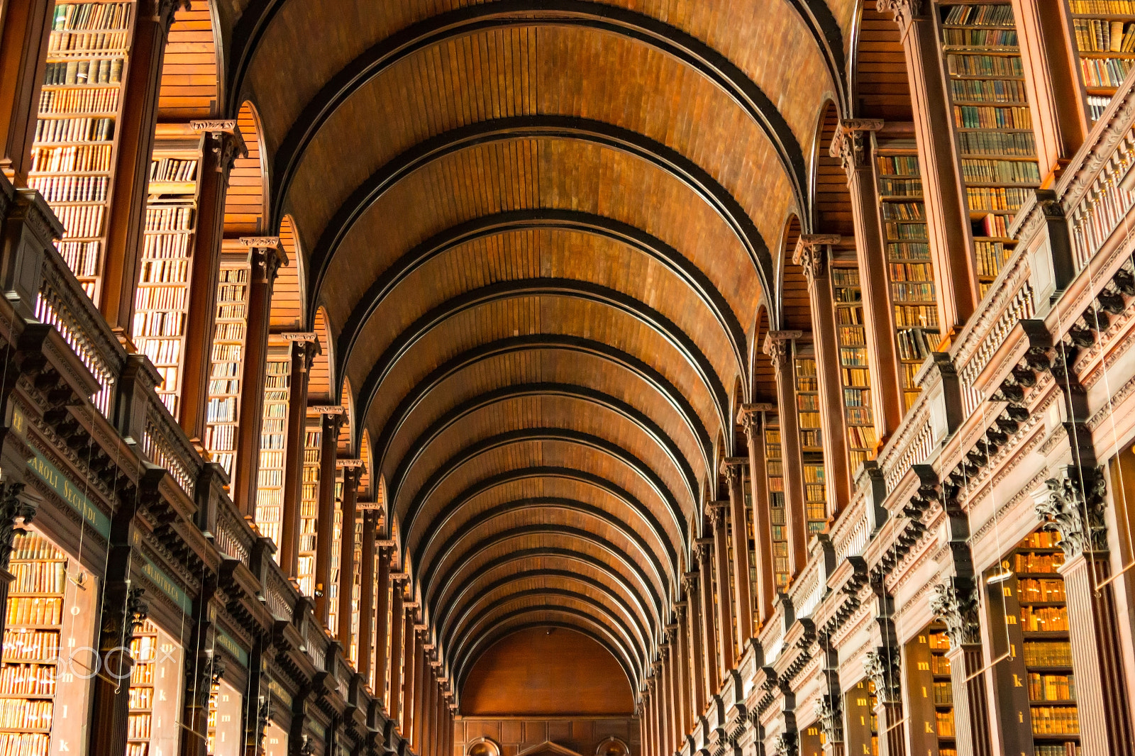 Canon EF 28-105mm f/3.5-4.5 USM sample photo. Trinity library - dublin photography