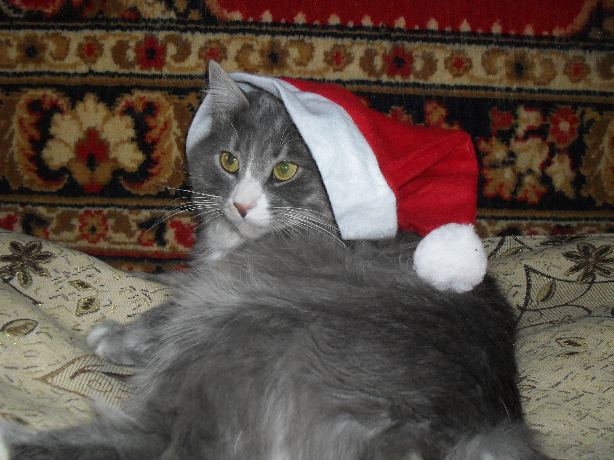 Samsung ES10  / VLUU ES10 /  ES11 sample photo. Christmas loki photography