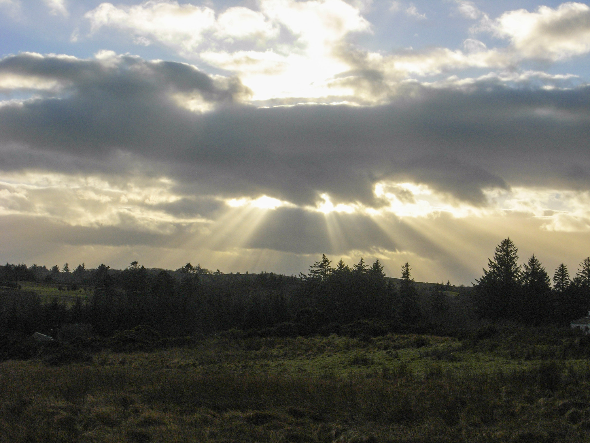 Ricoh Caplio R6 sample photo. Rays of the sun photography