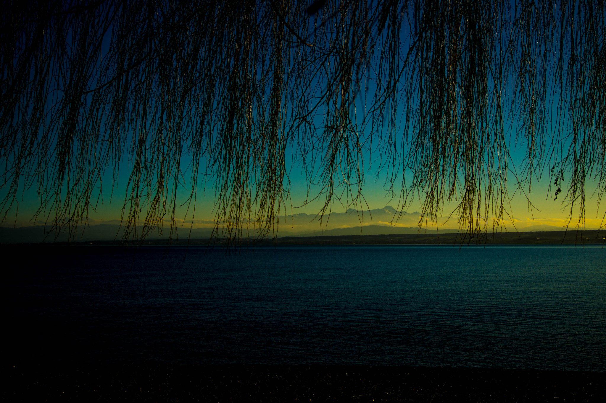 Minolta AF 35-105mm F3.5-4.5 sample photo. Ponyfrisur photography