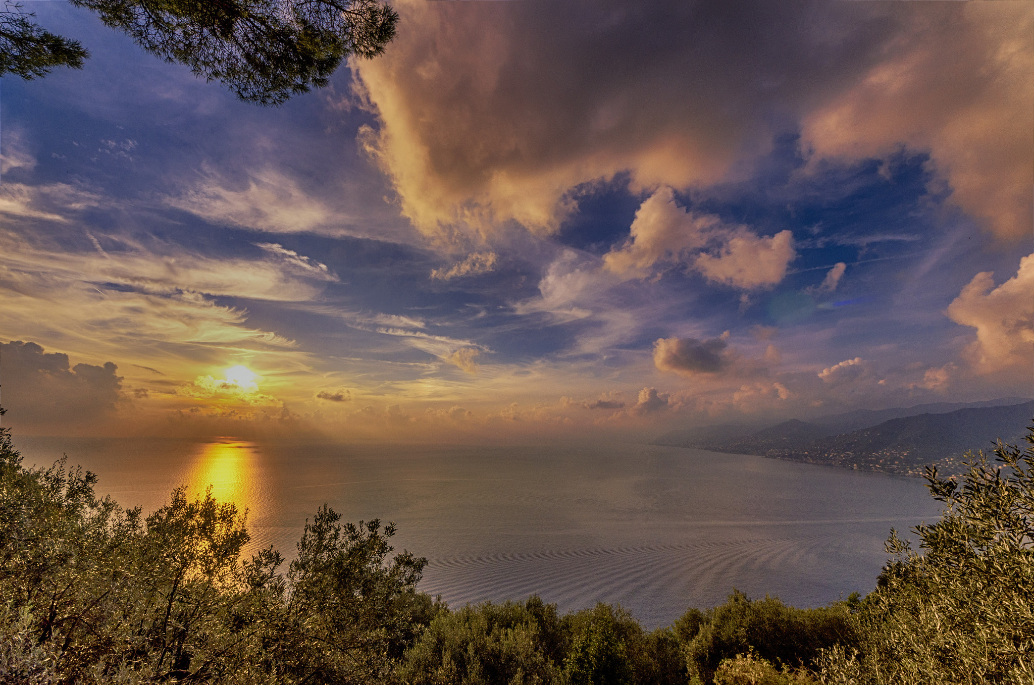 Sigma 8-16mm F4.5-5.6 DC HSM sample photo. Portofino park photography