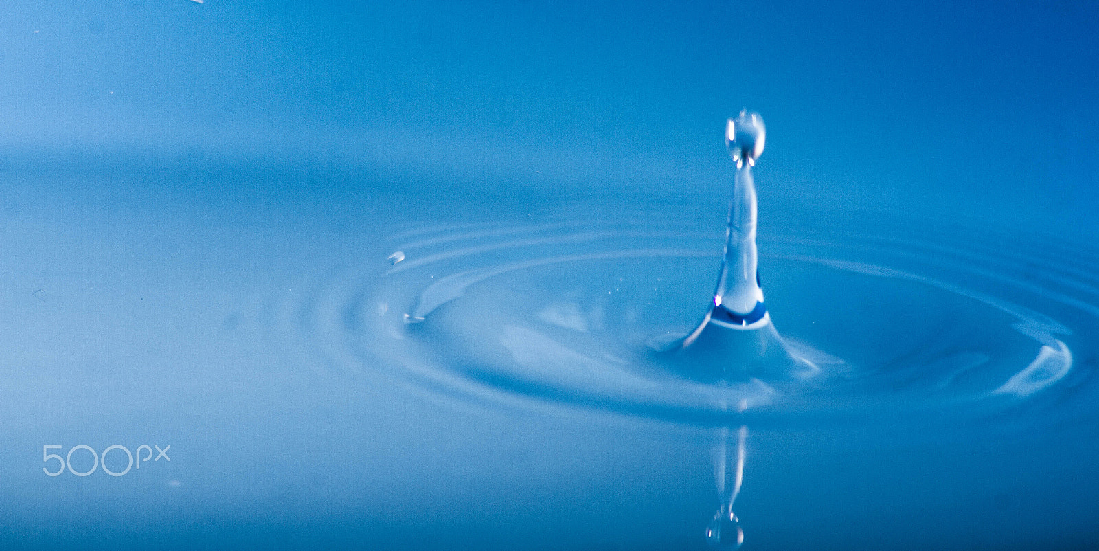 Sigma 70-300mm F4-5.6 APO DG Macro sample photo. Water drops photography