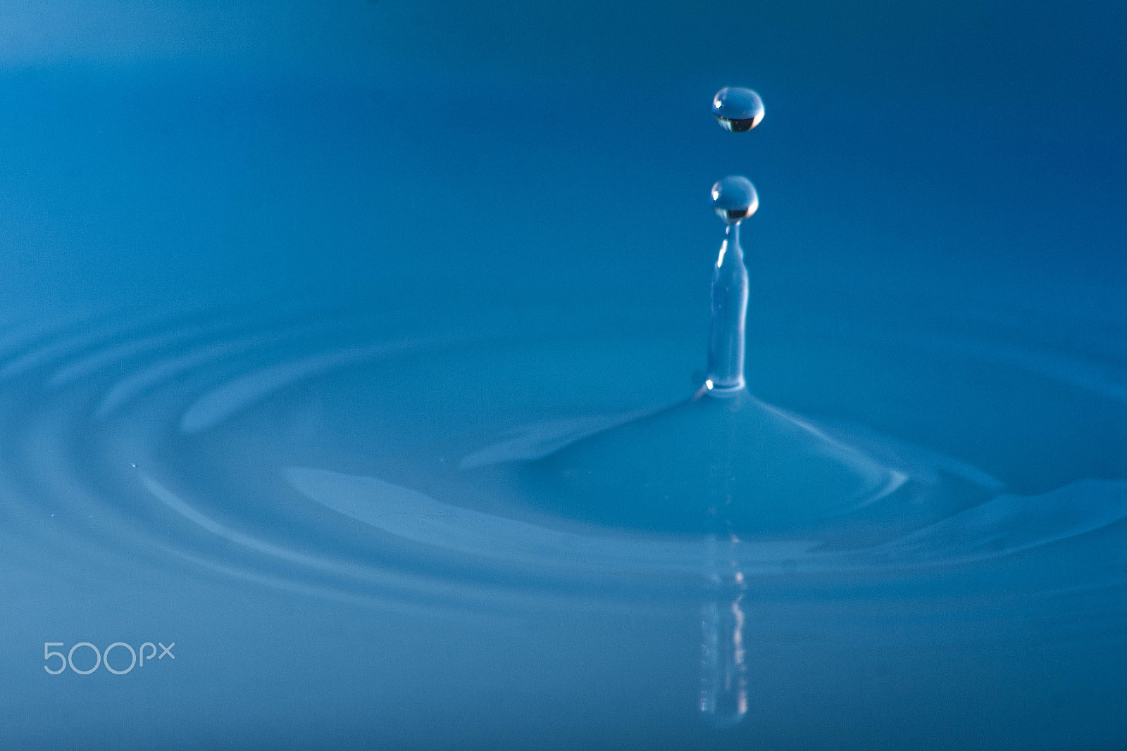 Sigma 70-300mm F4-5.6 APO DG Macro sample photo. Water drops photography