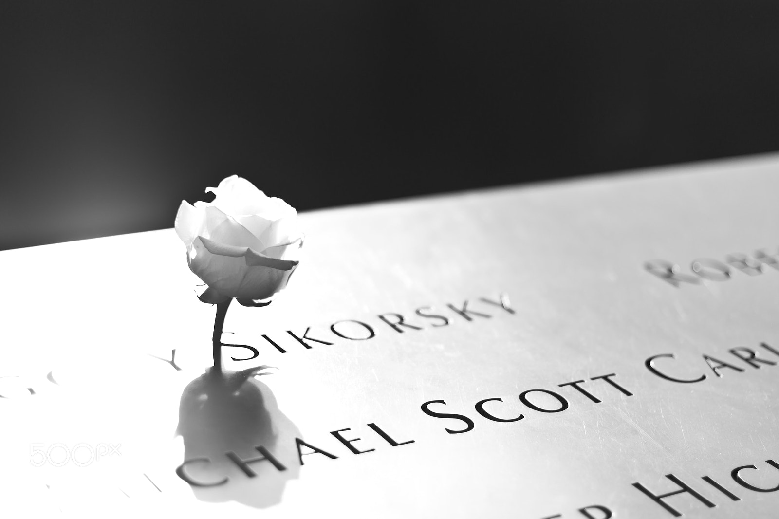 Nikon D3100 + Nikon AF-S Nikkor 50mm F1.4G sample photo. Memories and respect photography