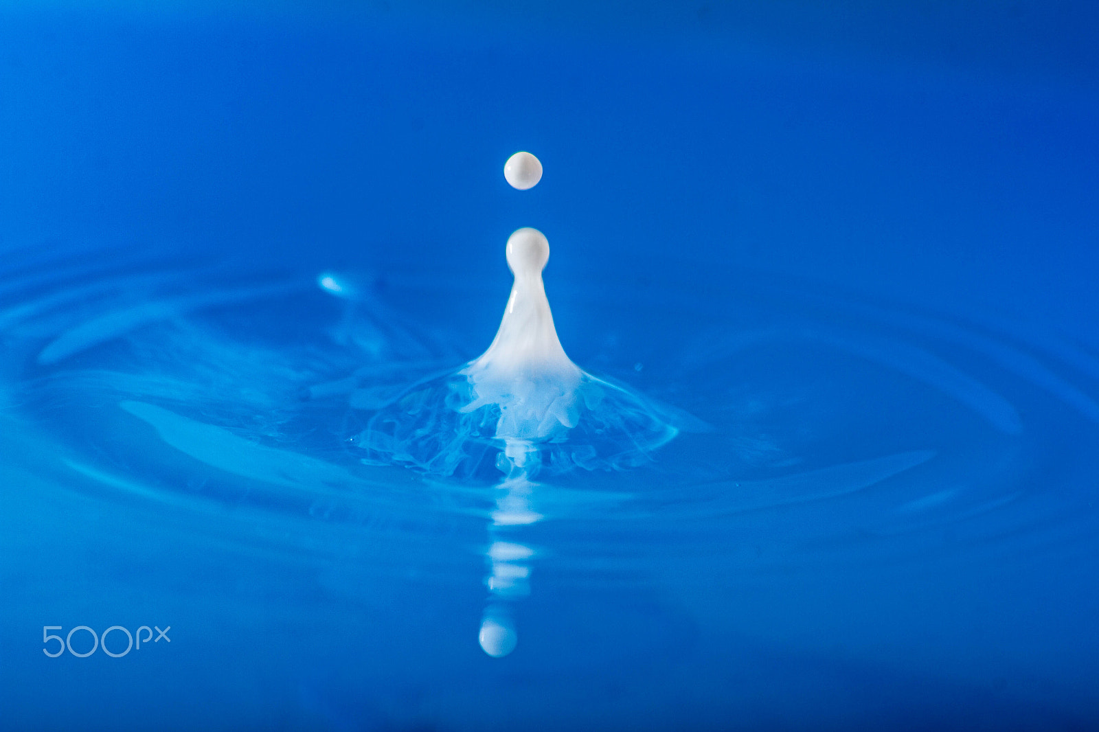 Sigma 70-300mm F4-5.6 APO DG Macro sample photo. Water drops photography