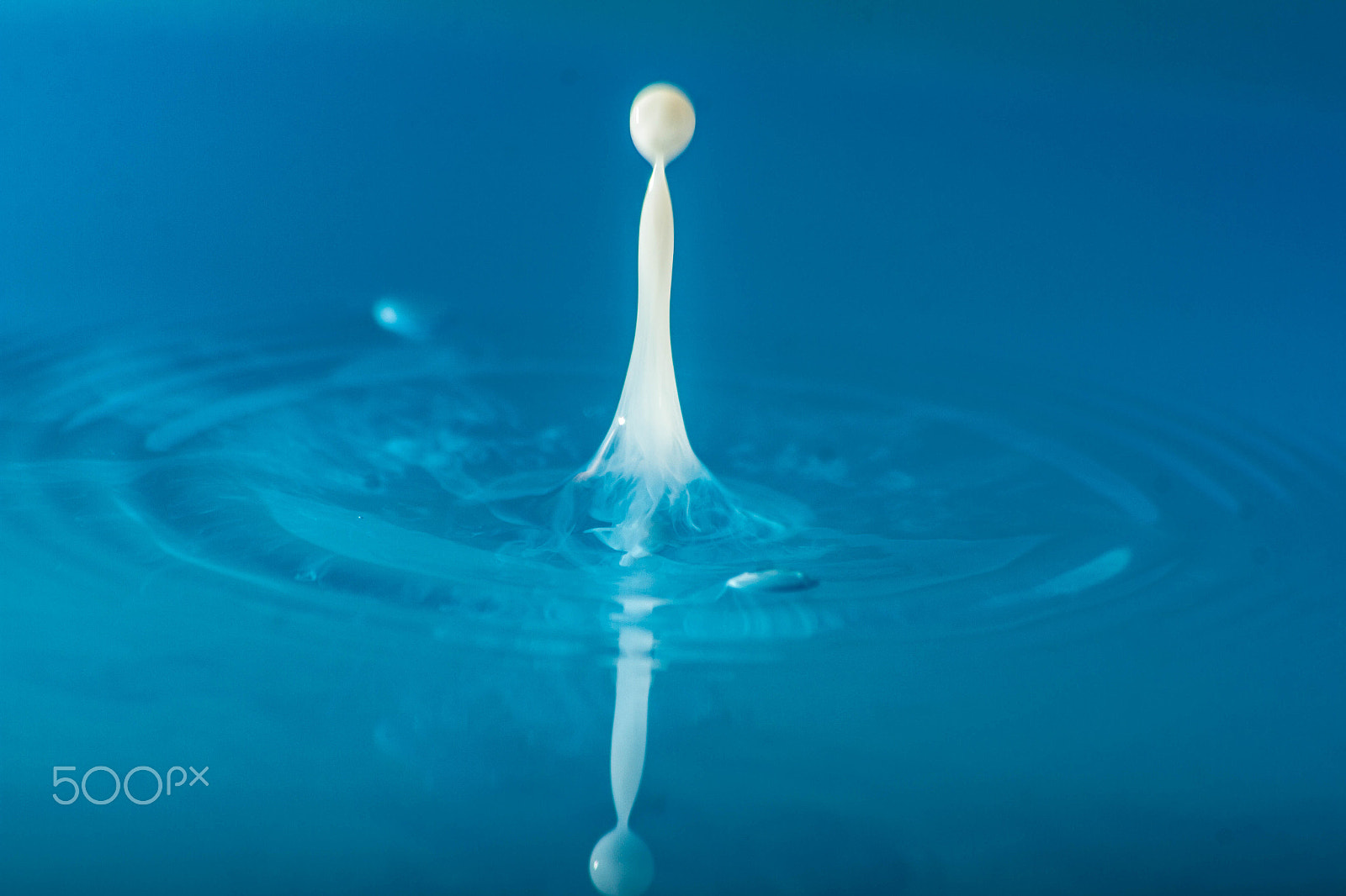 Sigma 70-300mm F4-5.6 APO DG Macro sample photo. Water drops photography
