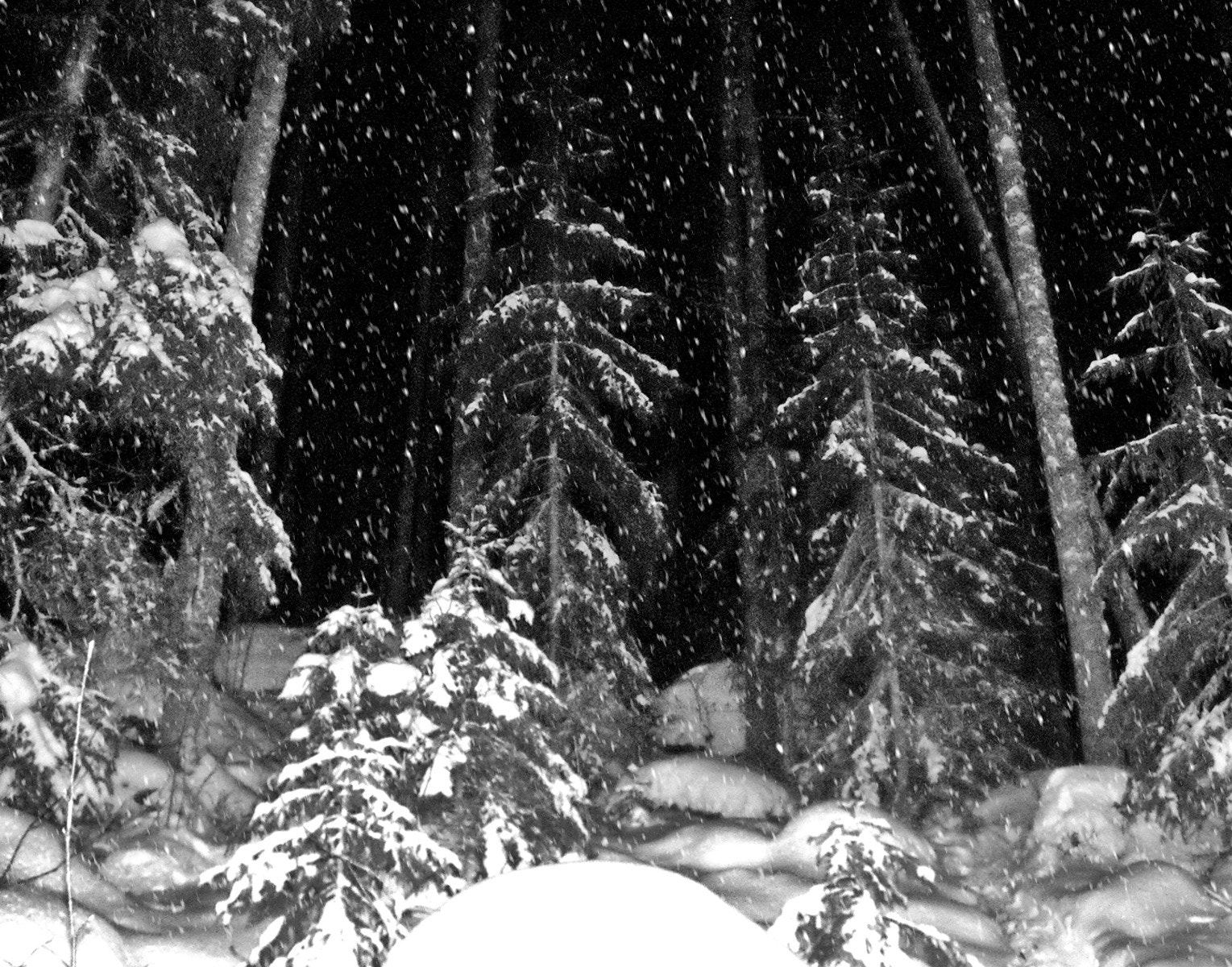 Nikon Coolpix L18 sample photo. Riten av mörker photography