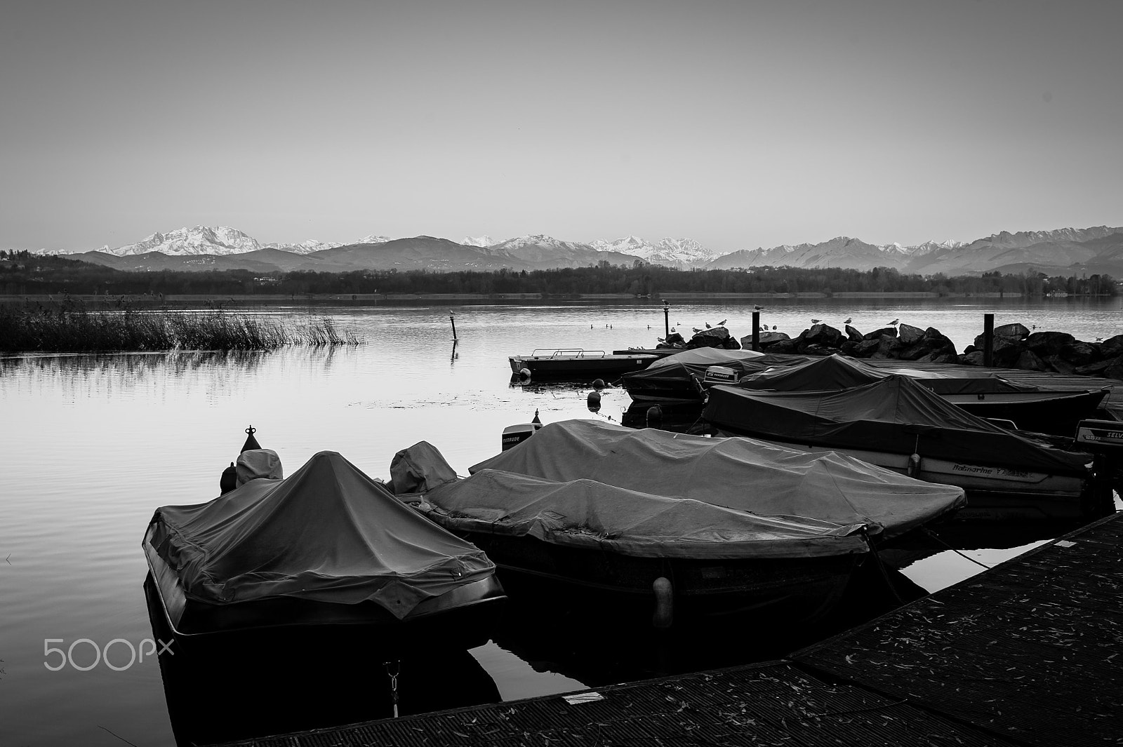 Nikon D700 + Nikon AF-S Nikkor 35mm F1.4G sample photo. Selva... photography