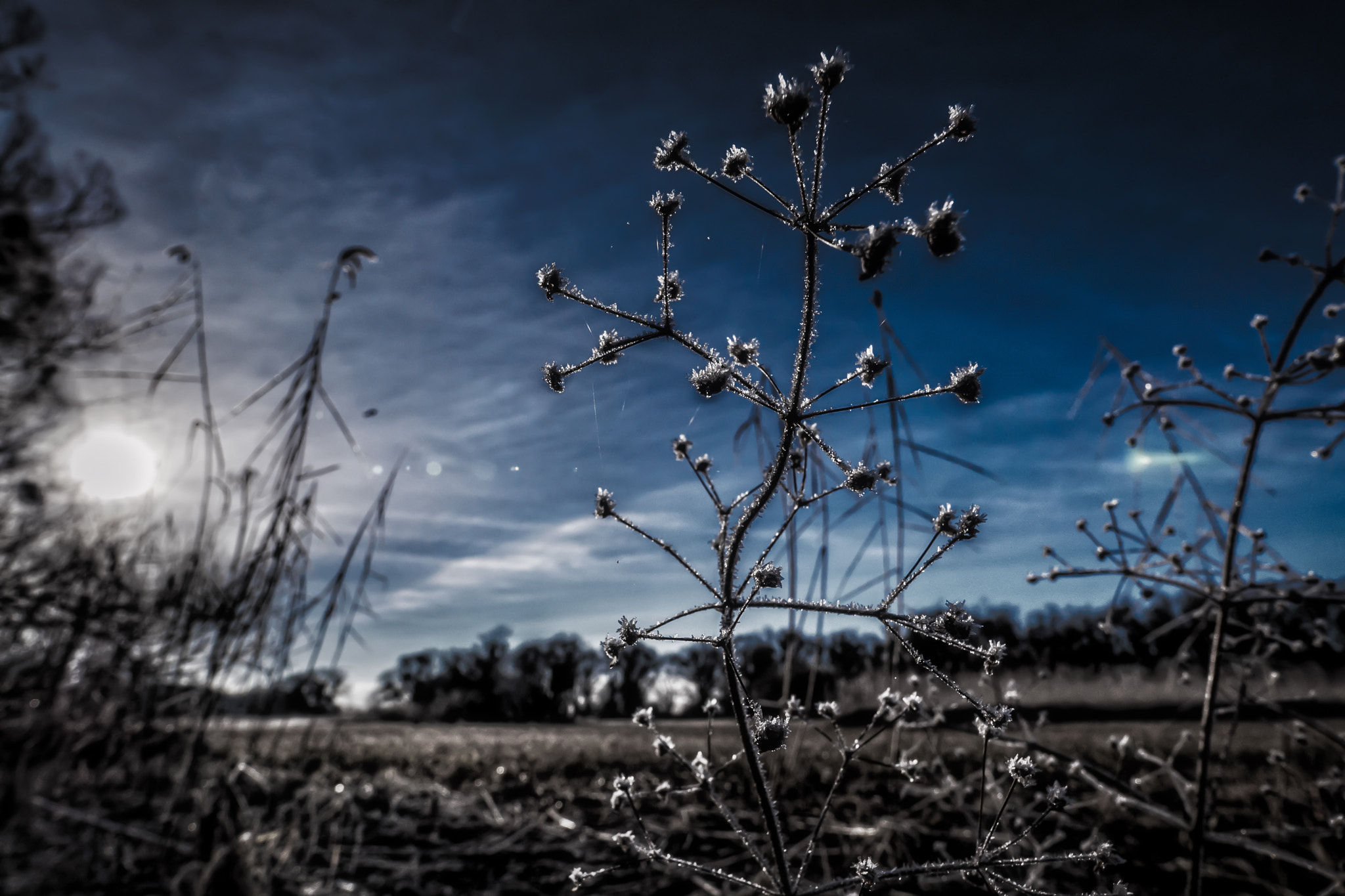 Panasonic Lumix DMC-GX8 + Panasonic Lumix G Vario 7-14mm F4 ASPH sample photo. Nature photography