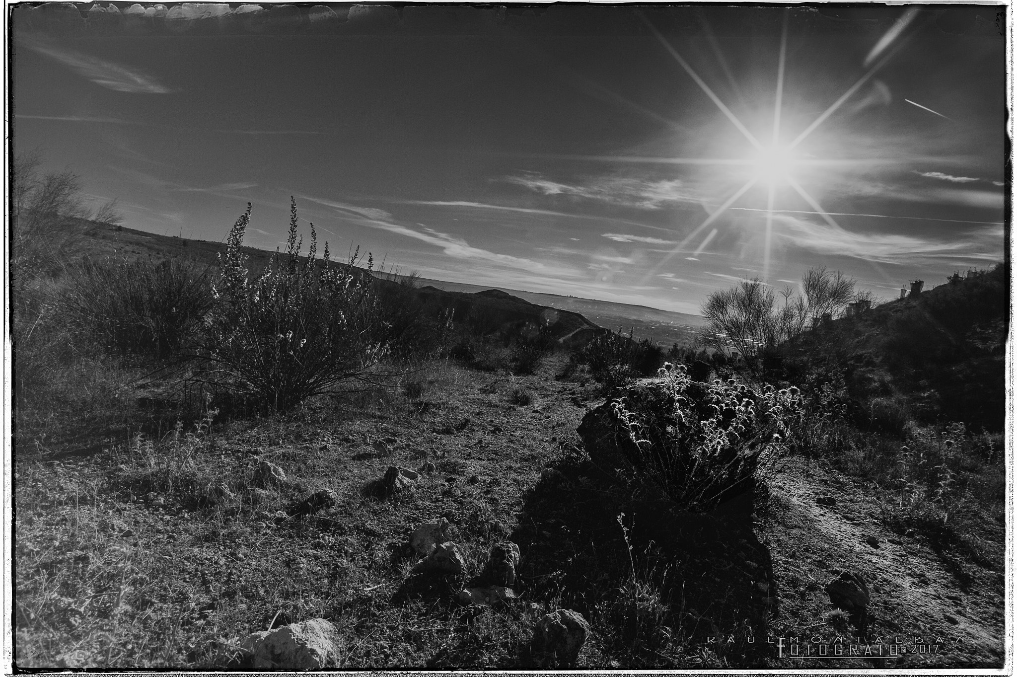 Nikon D700 + Sigma 17-35mm F2.8-4 EX Aspherical sample photo. ..luz.... photography