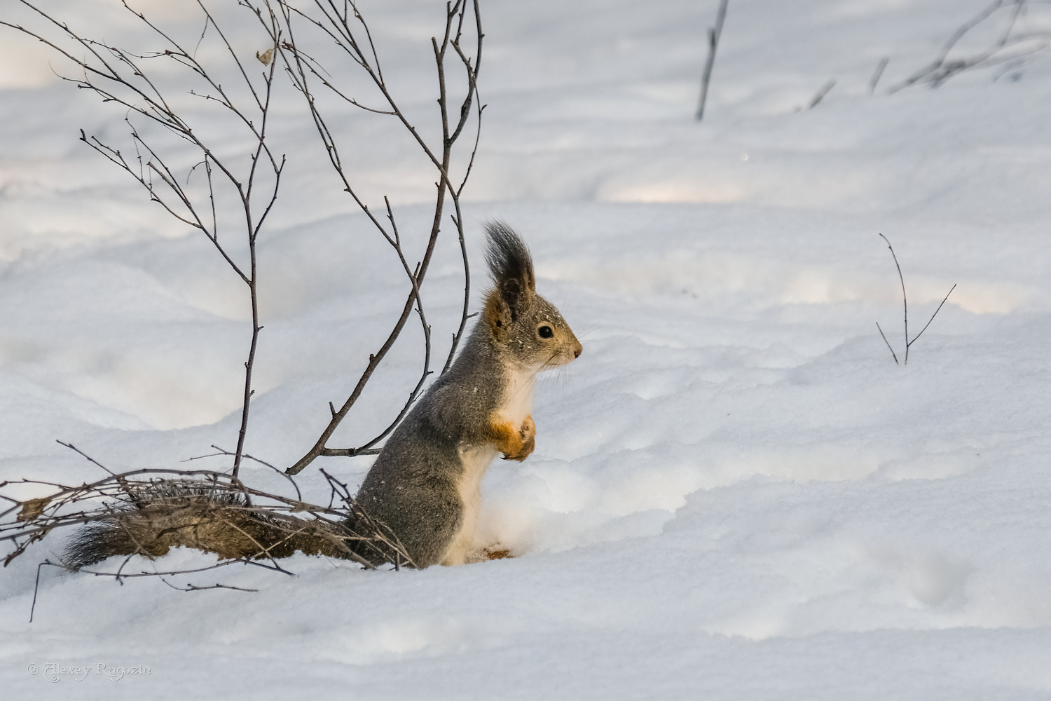 Fujifilm X-T2 + Fujifilm XC 50-230mm F4.5-6.7 OIS sample photo. Winter outfits photography