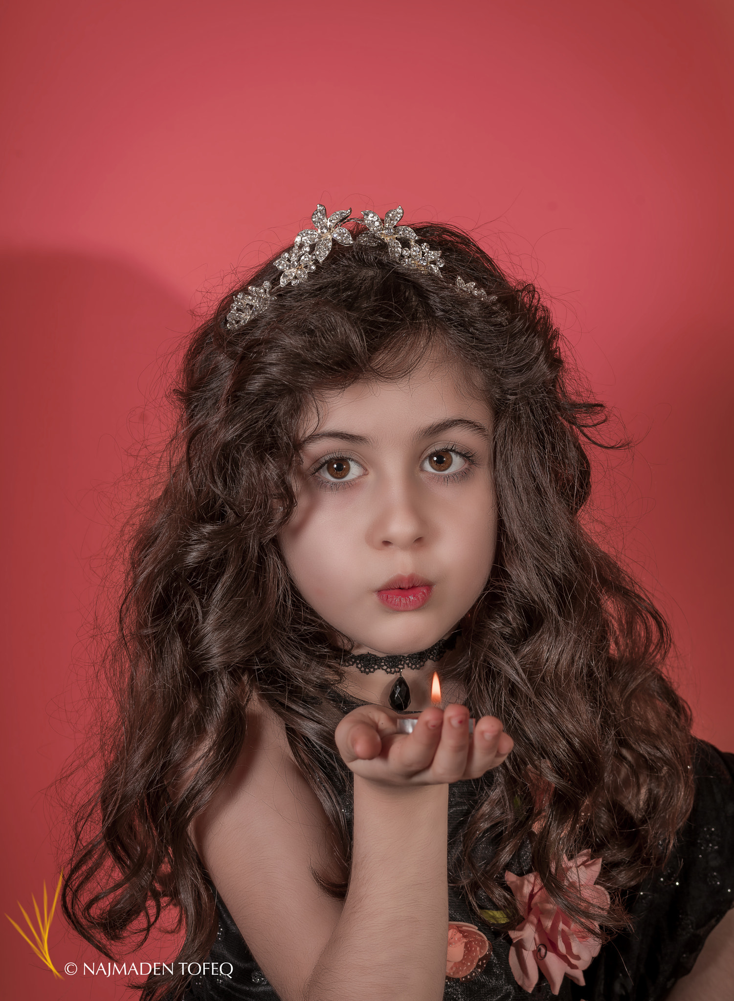 Sony a7R II + Canon EF 85mm F1.8 USM sample photo. Dsc photography