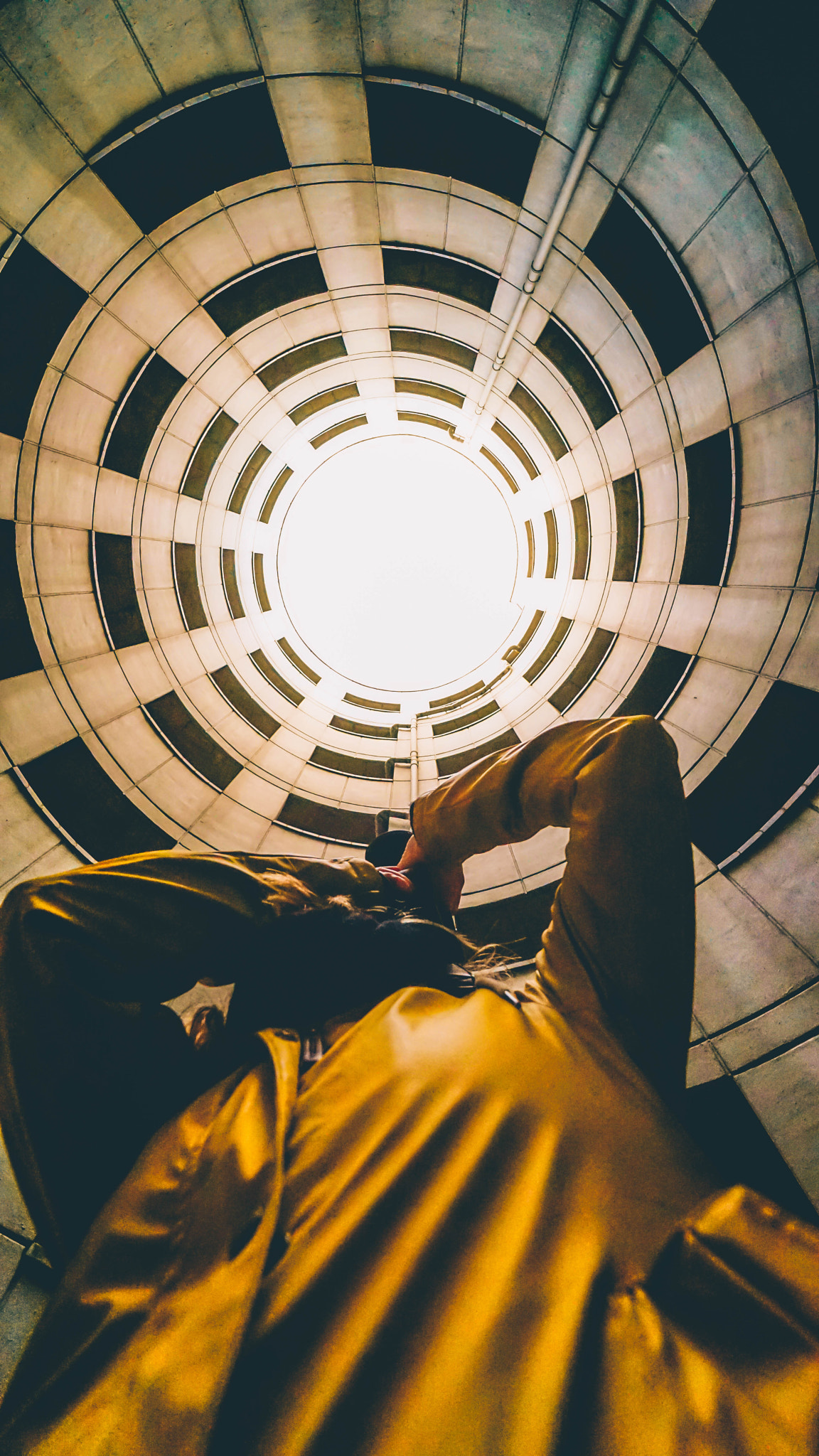 Samyang AF 14mm F2.8 FE sample photo. Looking up photography