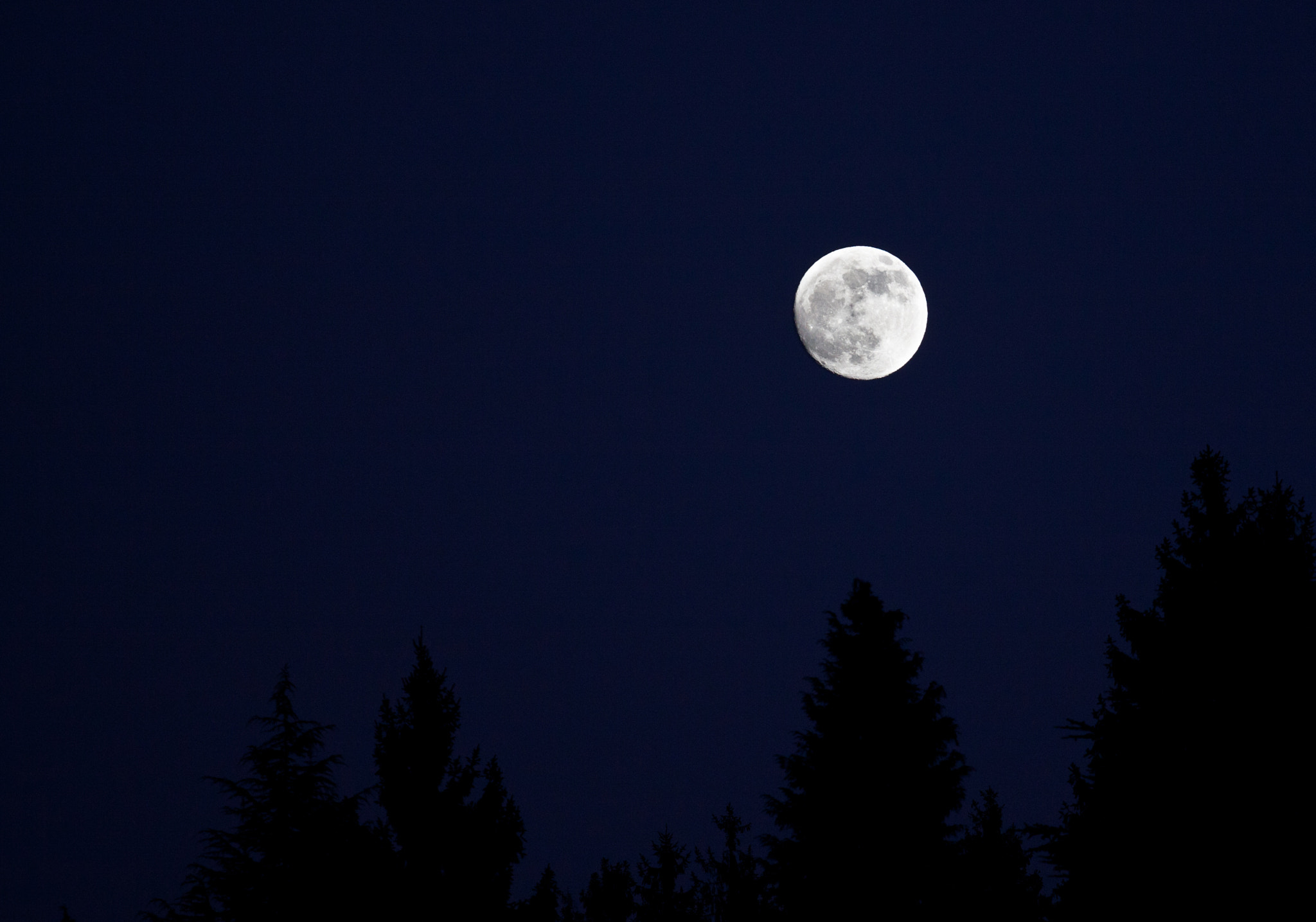 Canon EOS 50D + Canon EF 70-200mm F4L USM sample photo. Moonlight photography