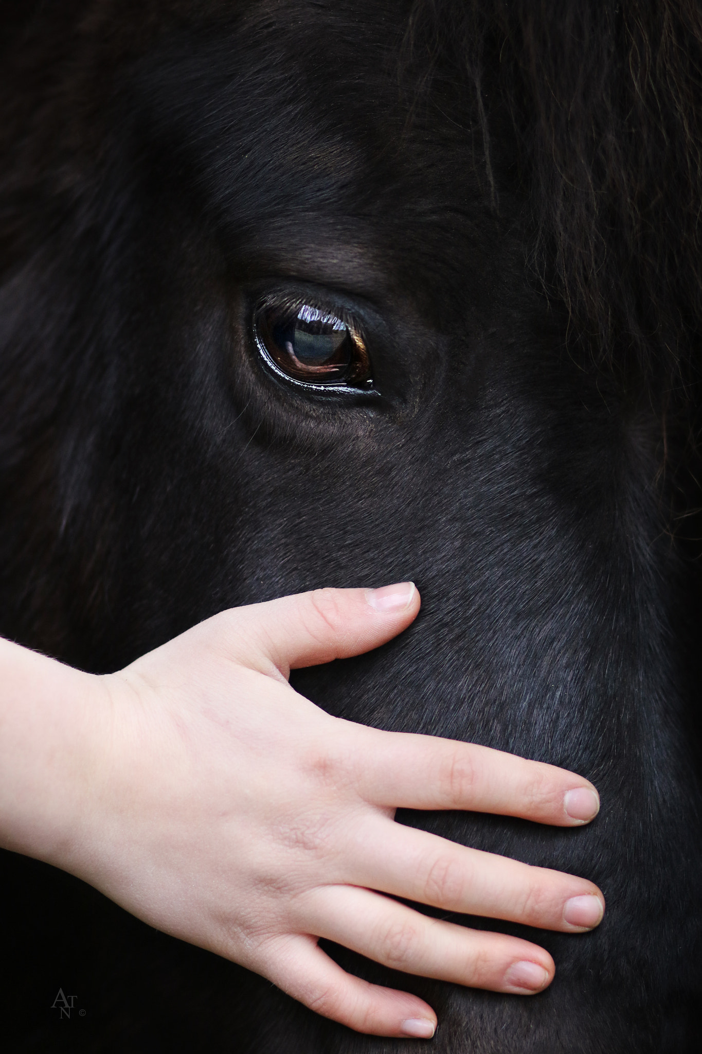 Canon EF 85mm F1.8 USM sample photo. Lisa photography