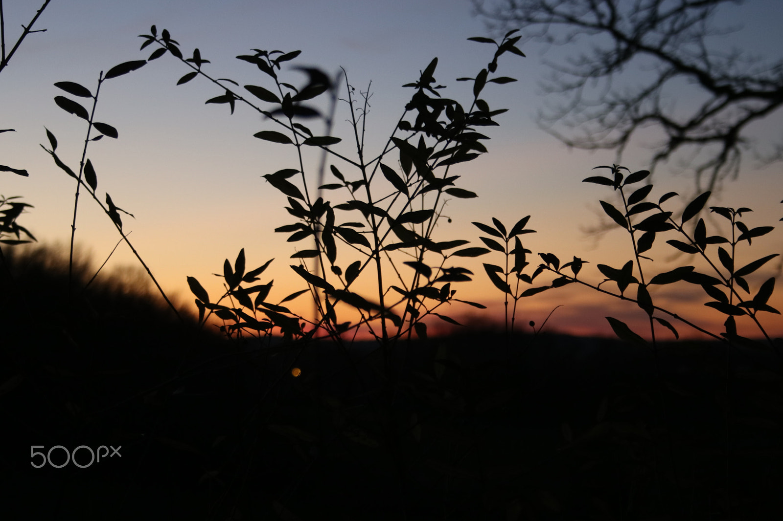 Canon EF-S 18-55mm F3.5-5.6 II sample photo. Couleur chaude d'hiver photography