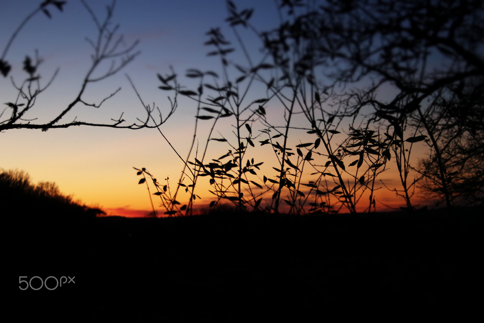 Canon EF-S 18-55mm F3.5-5.6 II sample photo. Couleur chaude d'hiver photography