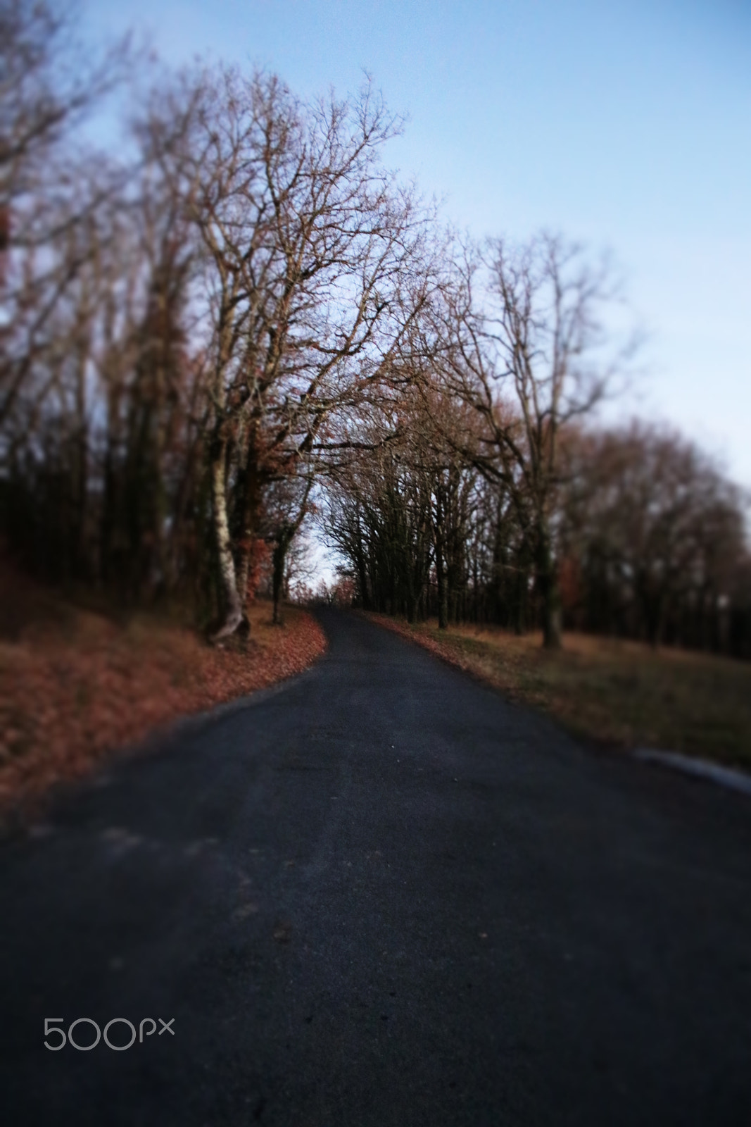 Canon EF-S 18-55mm F3.5-5.6 II sample photo. Panoramiche di colore e b&n photography