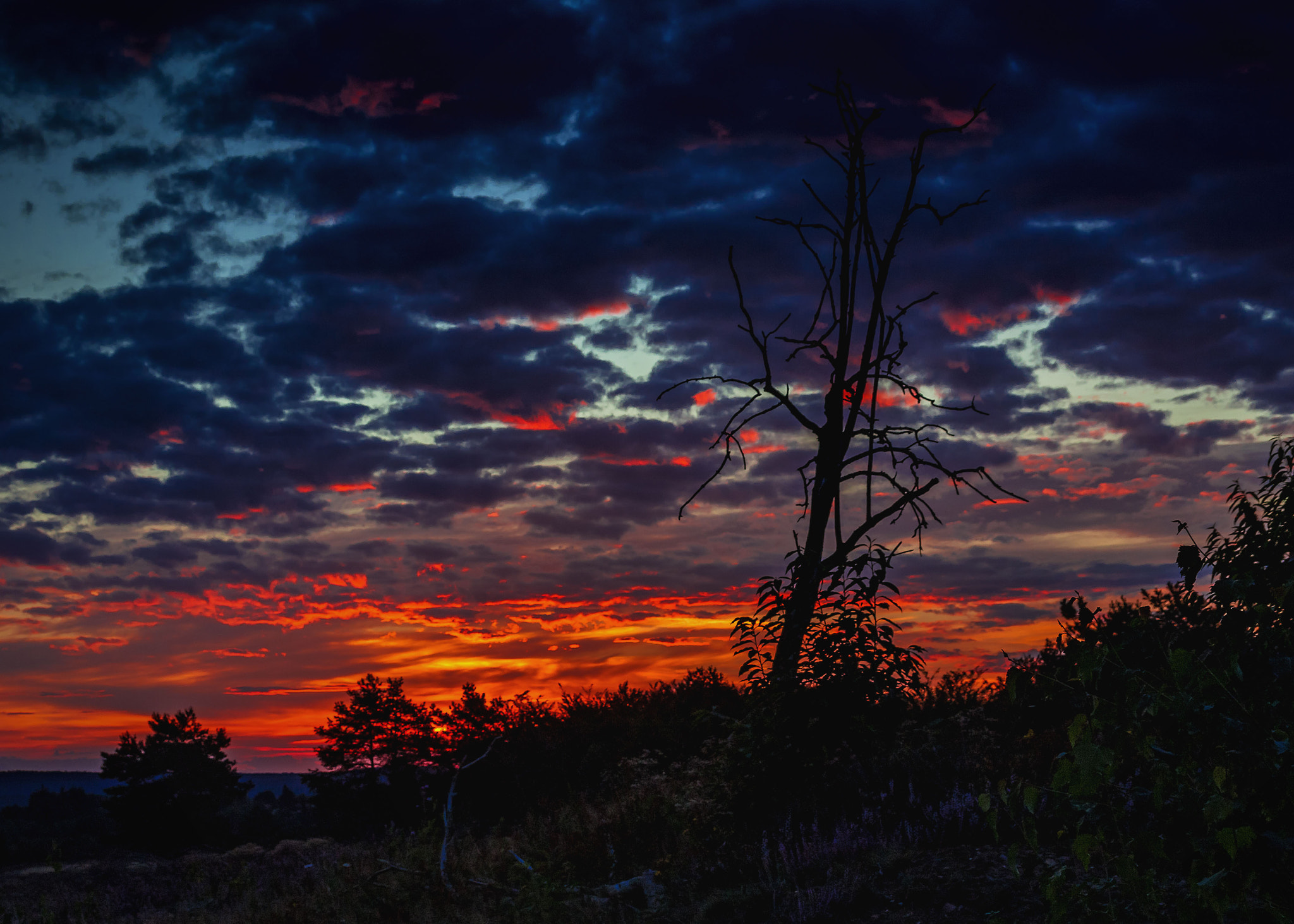 Canon EF-S 18-55mm F3.5-5.6 II sample photo. Dawn photography