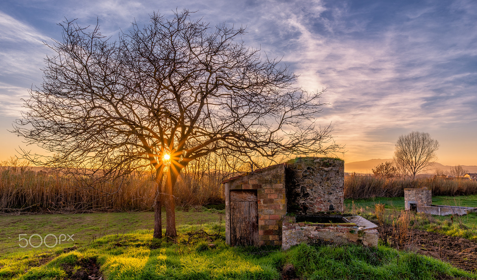 Nikon D800 + Nikon AF-S Nikkor 24mm F1.8G ED sample photo. Sunset before christmas photography