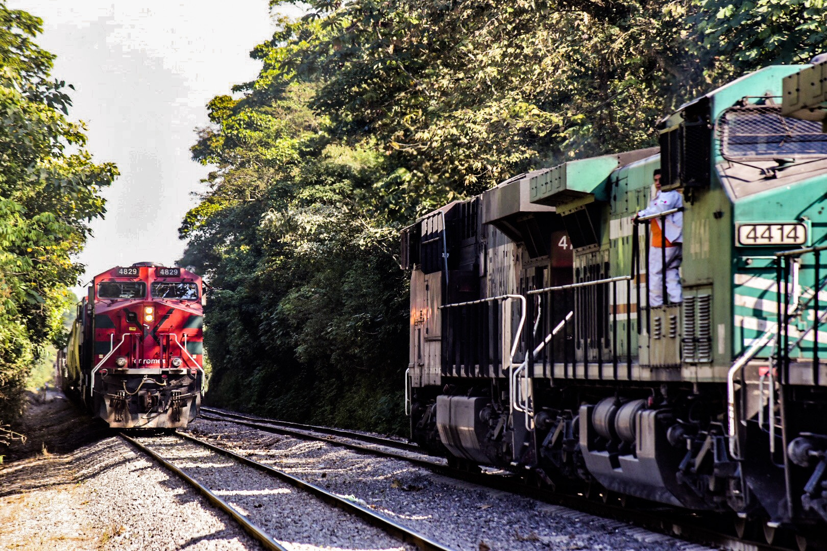 Nikon AF Nikkor 70-300mm F4-5.6G sample photo. Tren en puente metlac veracruz. méxico. photography