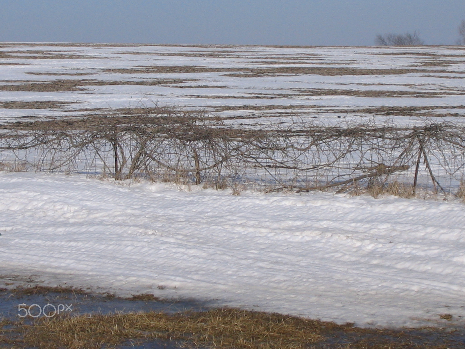 Canon POWERSHOT SD110 sample photo. Snow of a field & farm melt photography