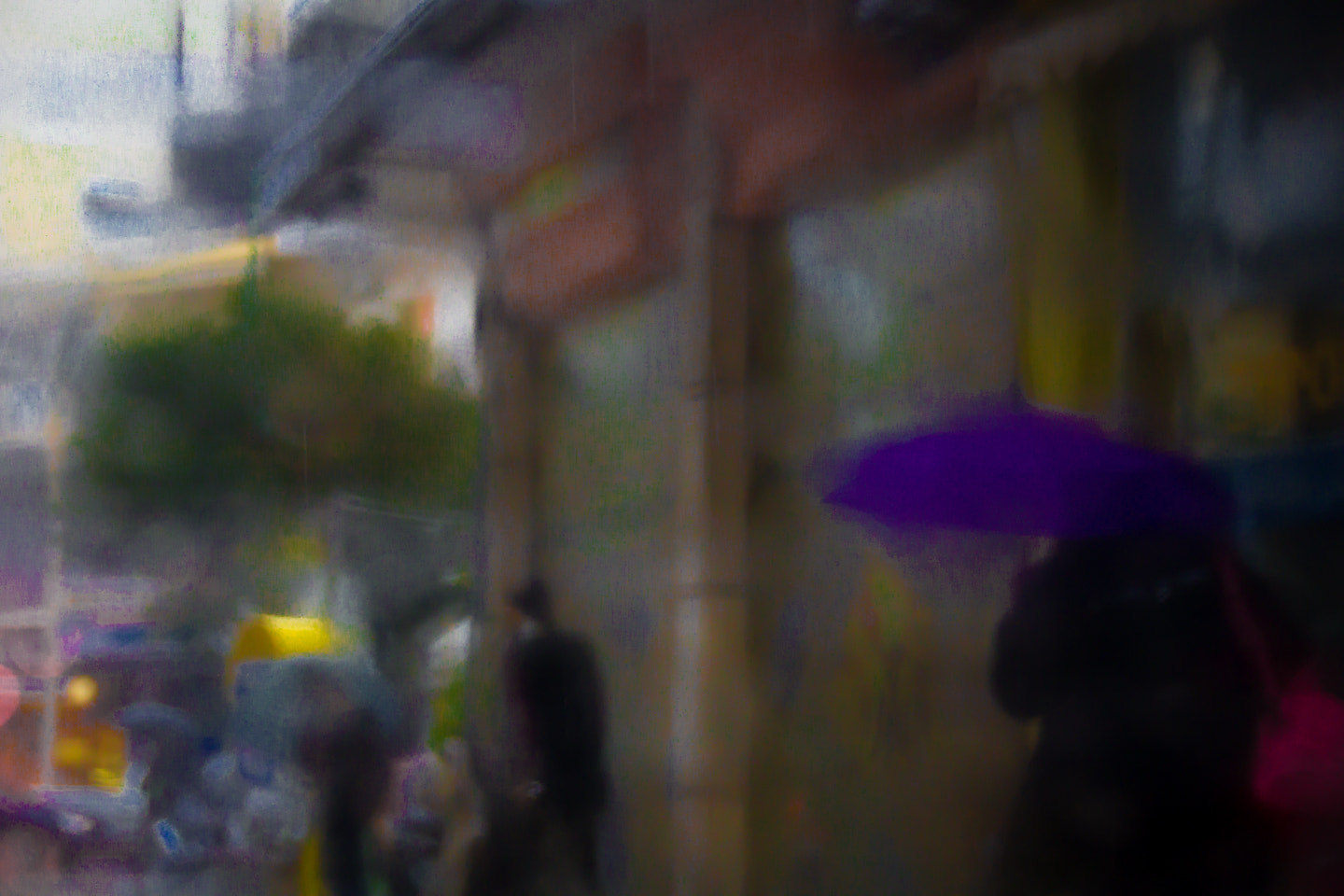 Sigma 18-250mm F3.5-6.3 DC OS HSM sample photo. In the rain photography