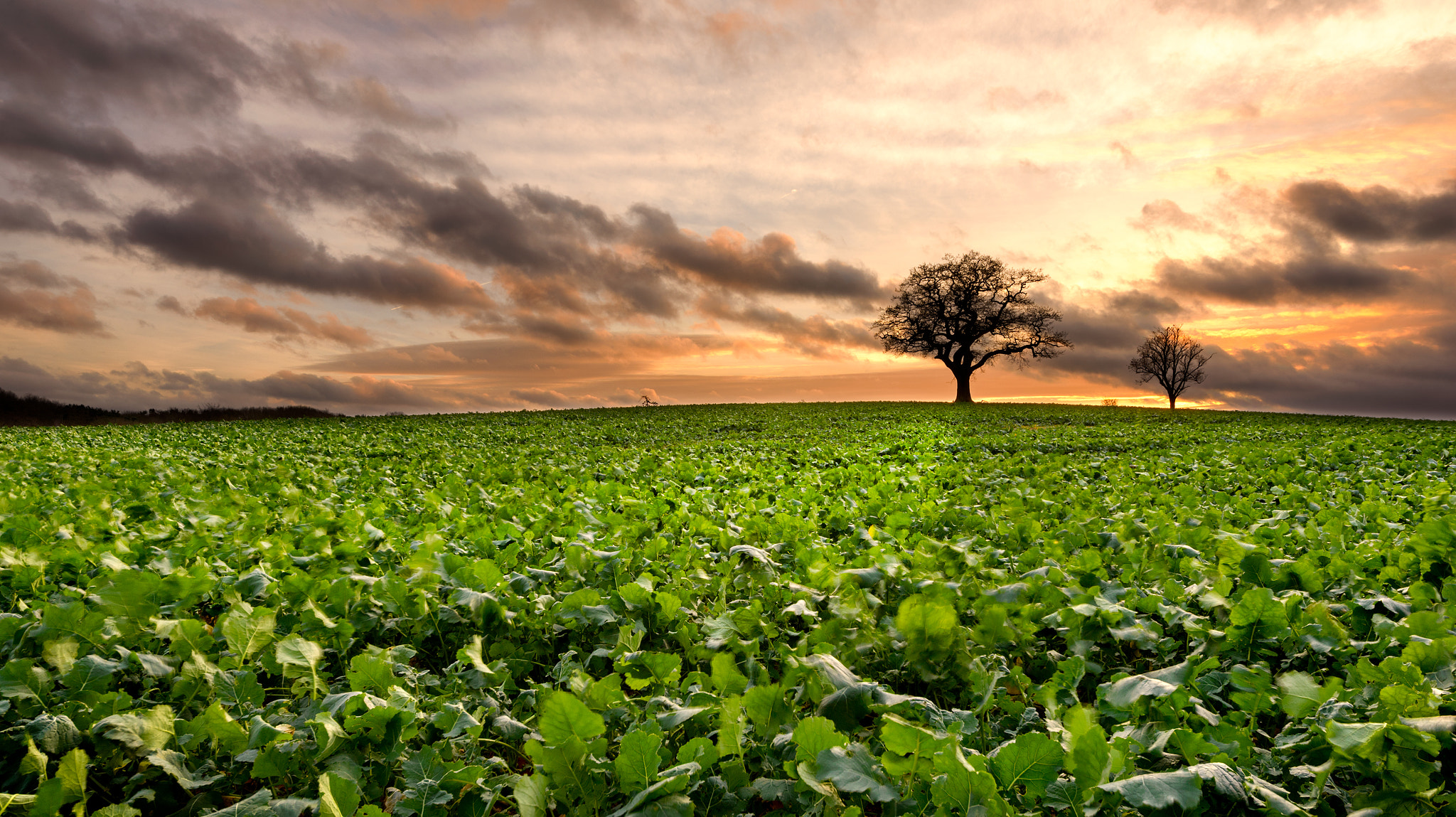 Nikon D610 + Sigma 12-24mm F4.5-5.6 II DG HSM sample photo. Side by side photography