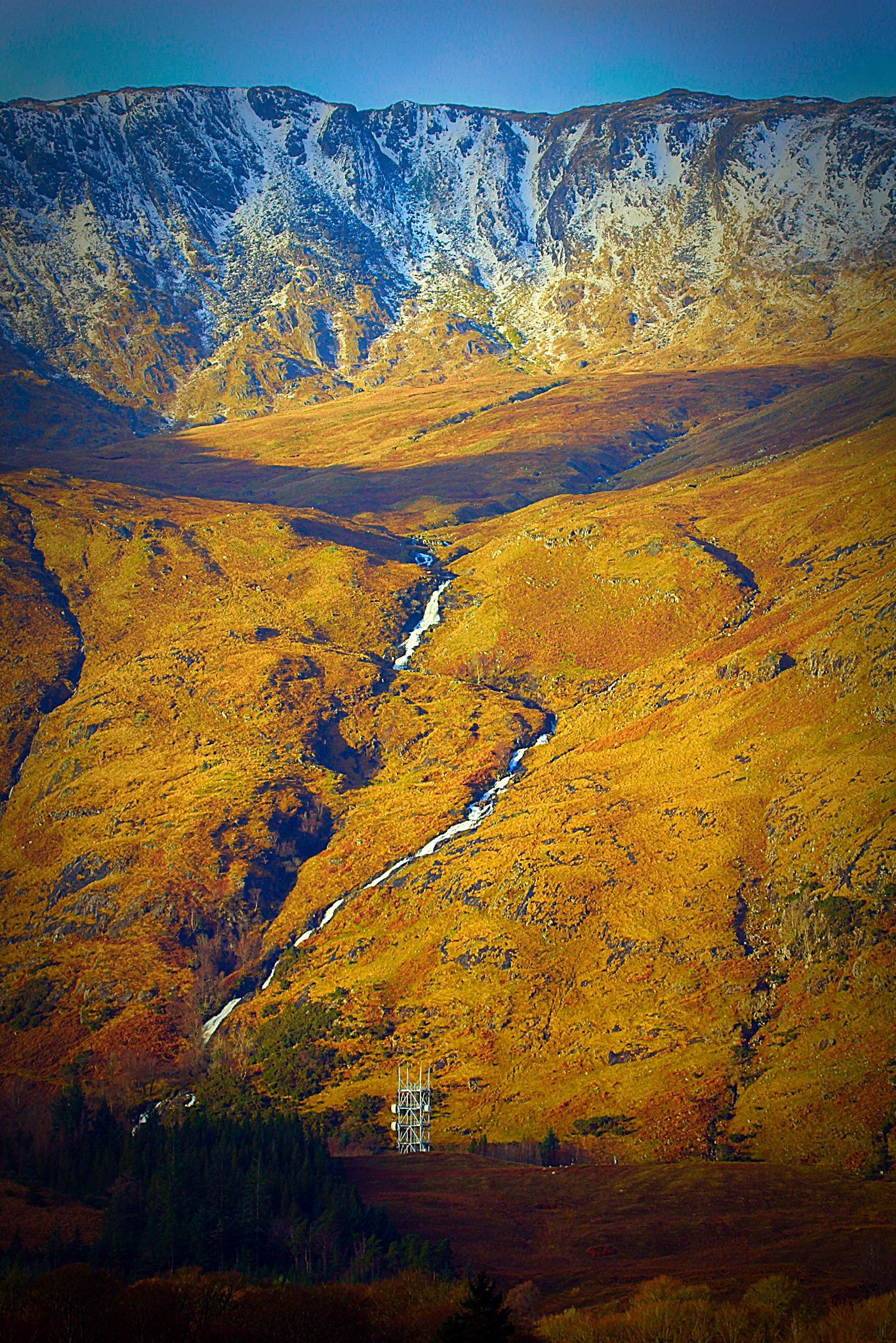 Tamron SP 150-600mm F5-6.3 Di VC USD sample photo. Maclean's towel, ardgour photography