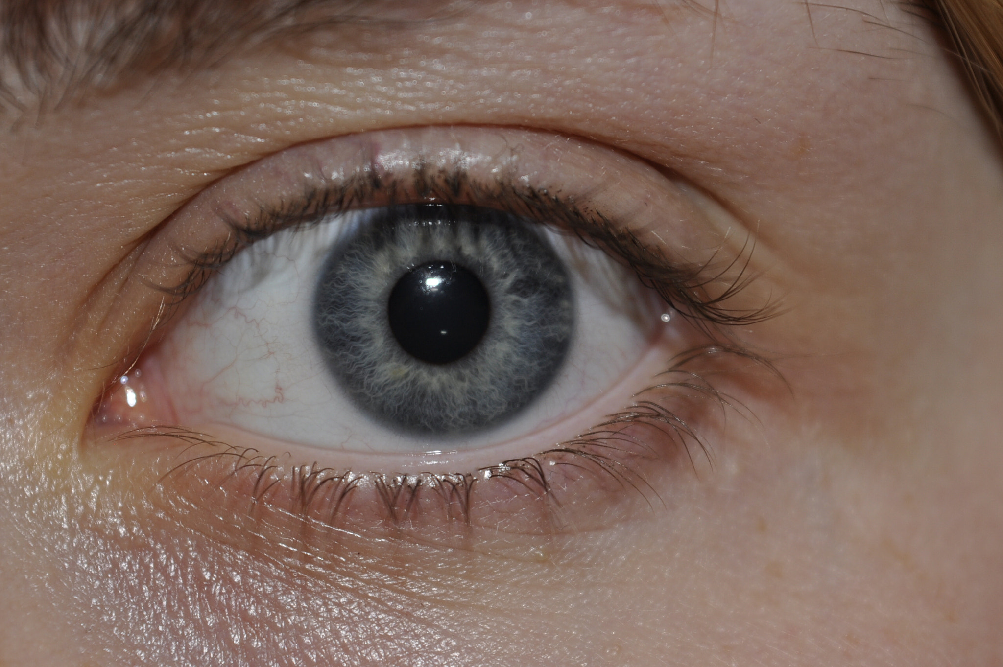 Nikon D5000 sample photo
