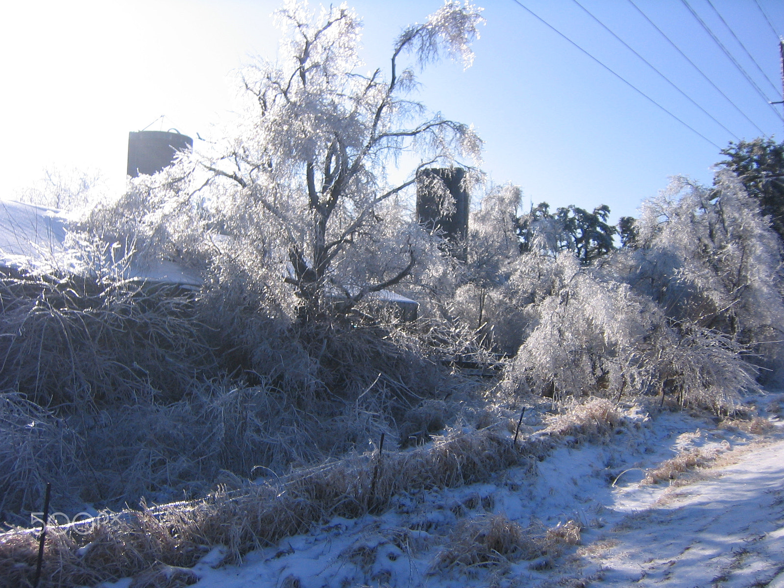 Canon POWERSHOT SD110 sample photo. Thick ice paralyzes a farm in iowa in 2007 photography