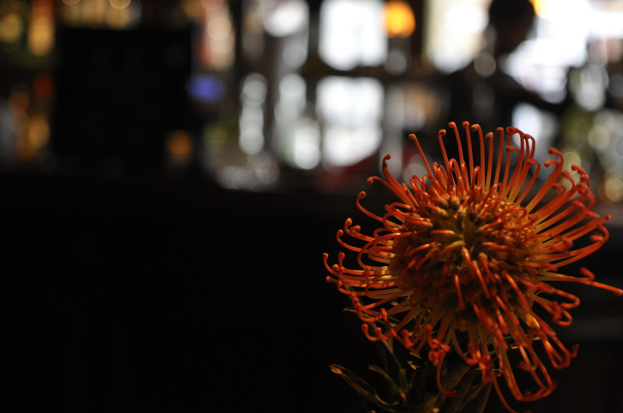 Nikon D5000 sample photo. Perspective of a bar photography