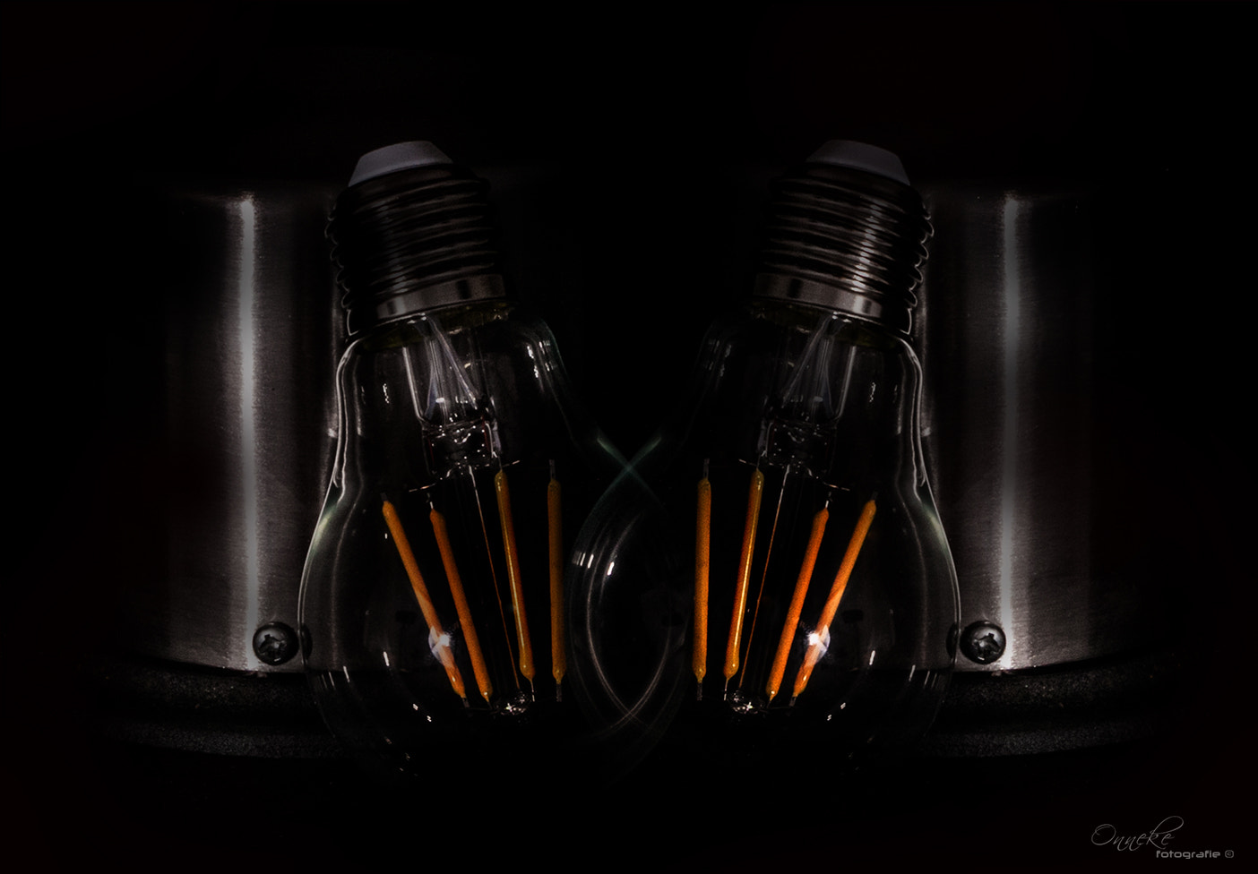 Canon EF 100mm F2.8 Macro USM sample photo. Glow in the dark photography