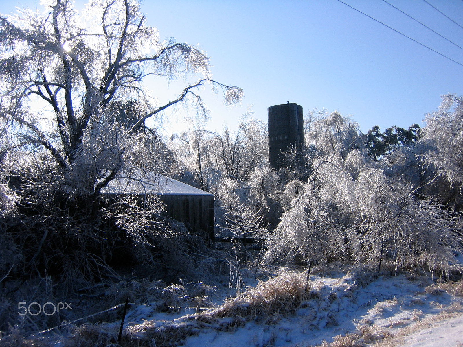 Canon POWERSHOT SD110 sample photo. Thick ice covers a farm paralyzed in winter photography