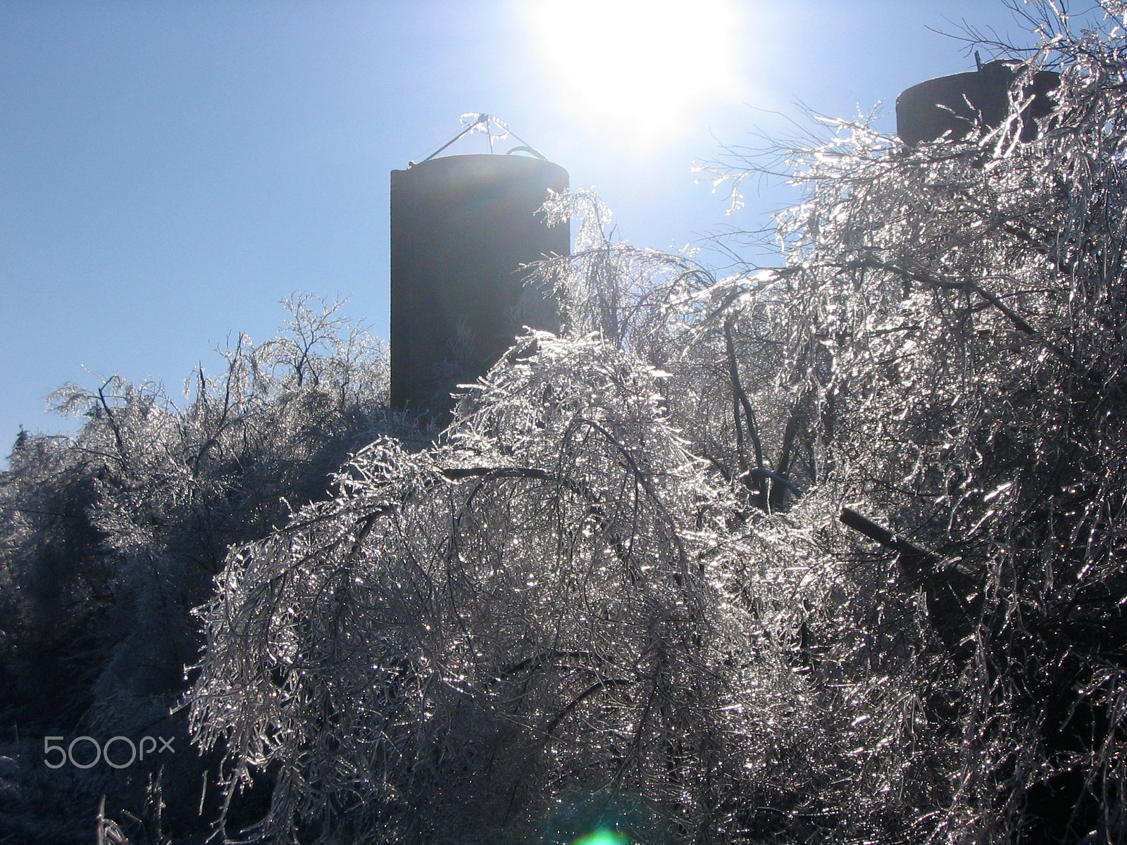 Canon POWERSHOT SD110 sample photo. Thick ice covers a farm paralyzed in winter photography