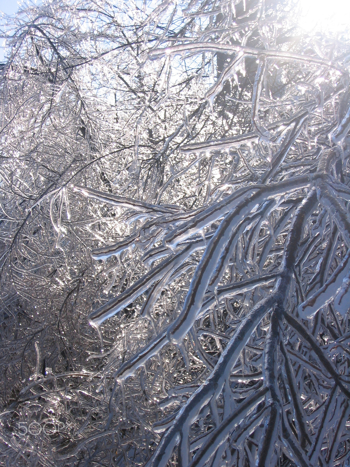 Canon POWERSHOT SD110 sample photo. Thick ice covers a farm paralyzed in winter photography