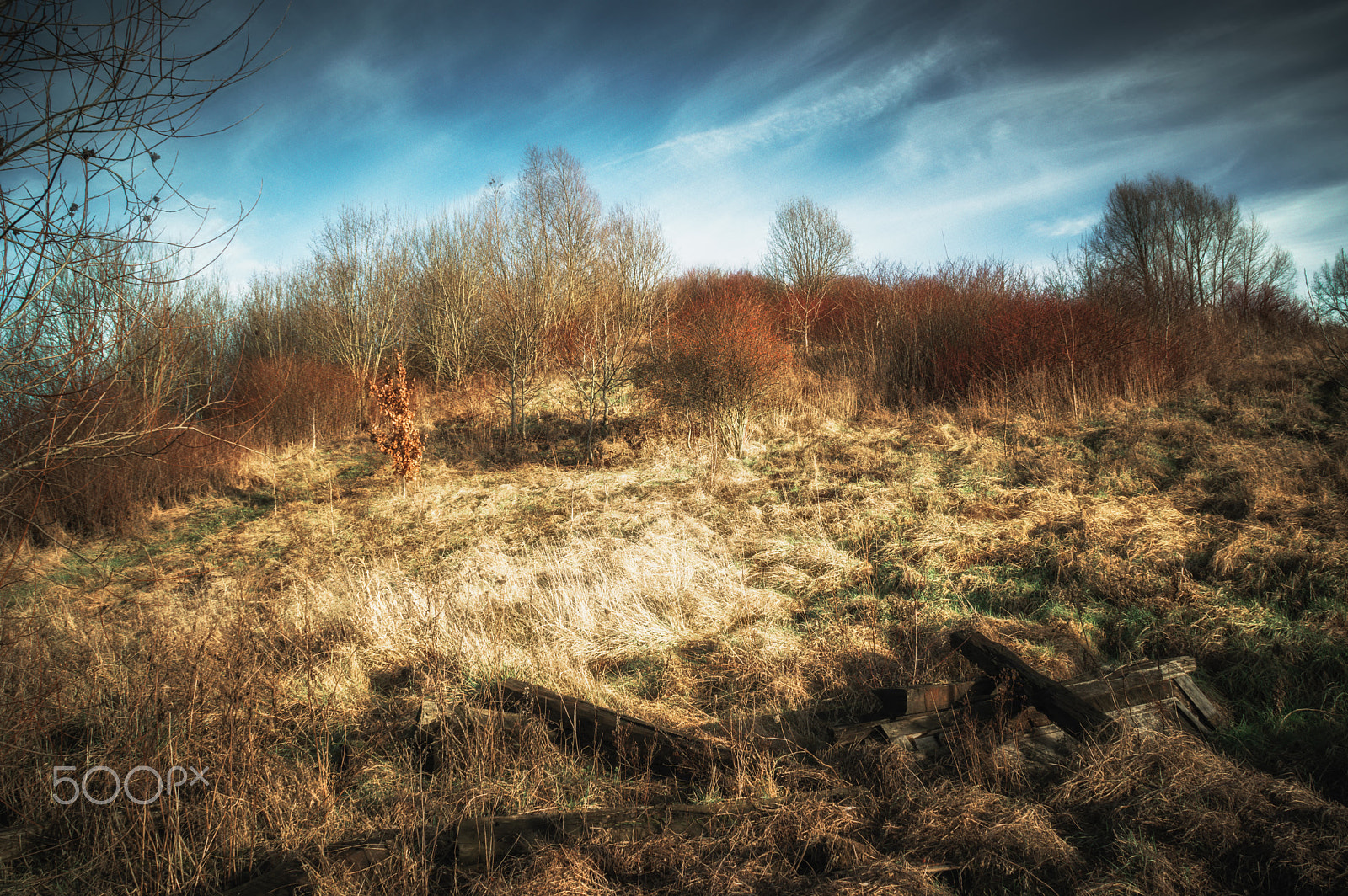 Tamron AF 18-200mm F3.5-6.3 XR Di II LD Aspherical (IF) Macro sample photo. Landscape of december photography