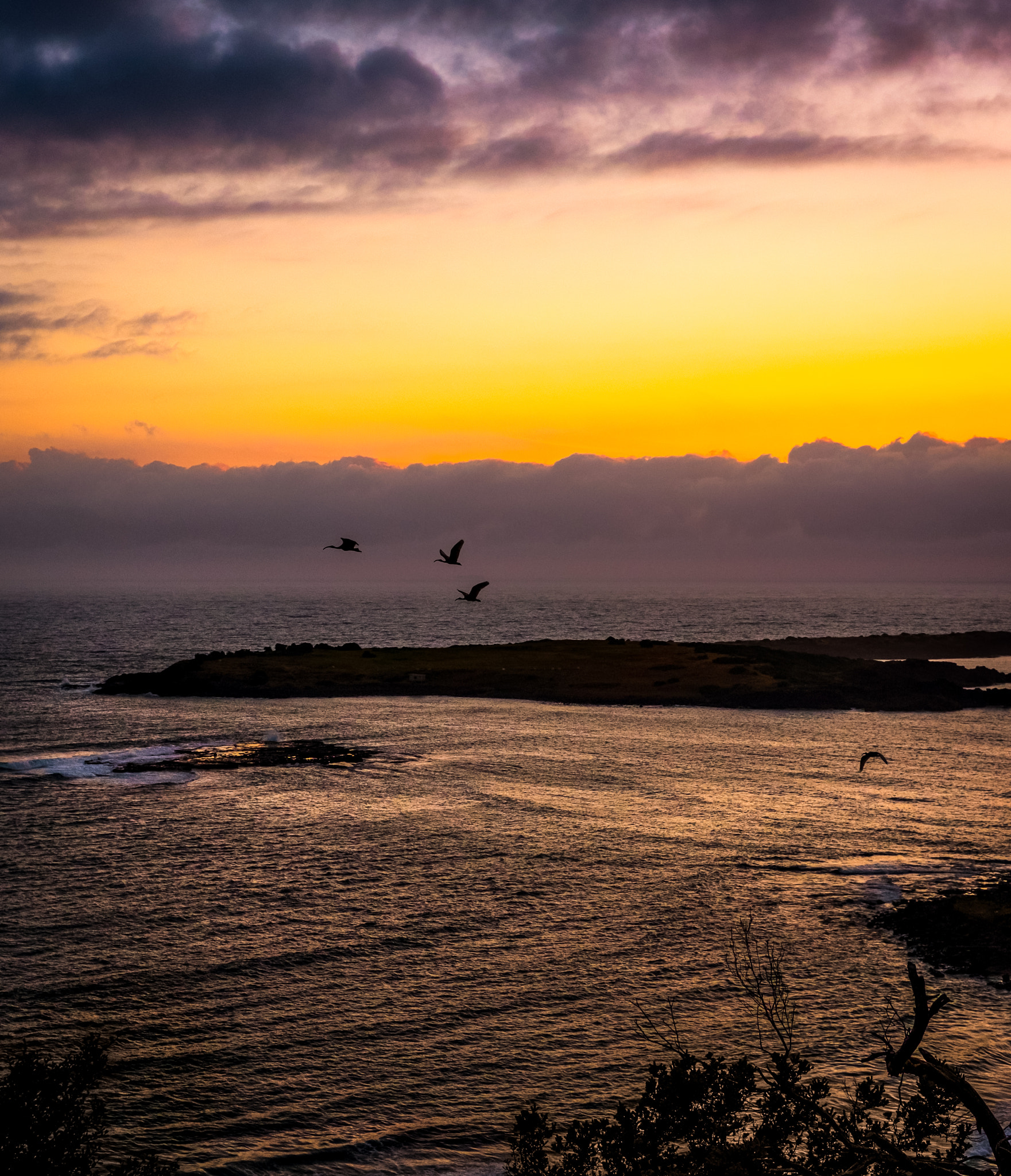 Fujifilm XF 27mm F2.8 sample photo. Morning flight photography