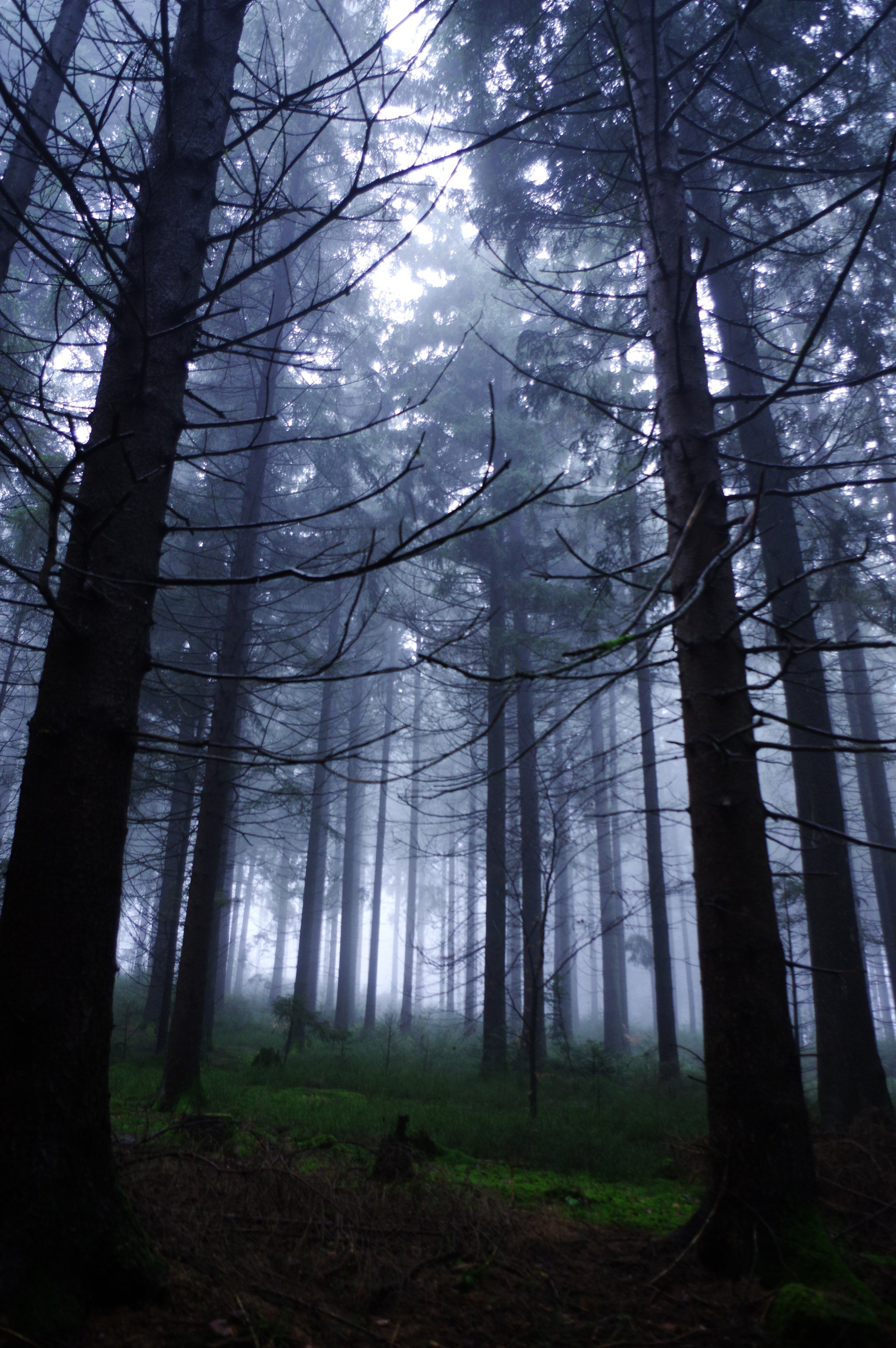 Pentax K-3 II sample photo. Mystic light photography