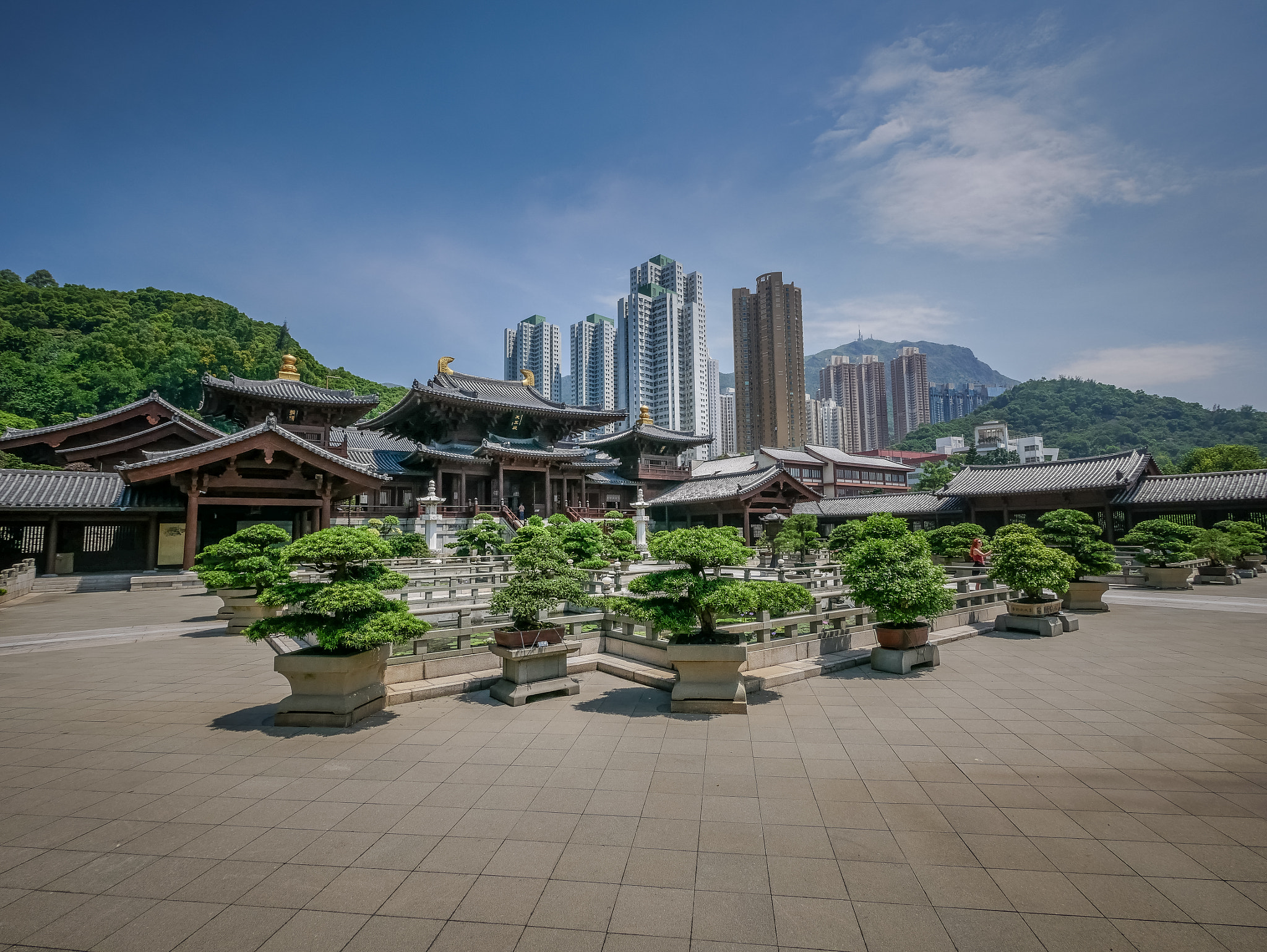 Panasonic Lumix G Vario 7-14mm F4 ASPH sample photo. Chi lin nunnery photography