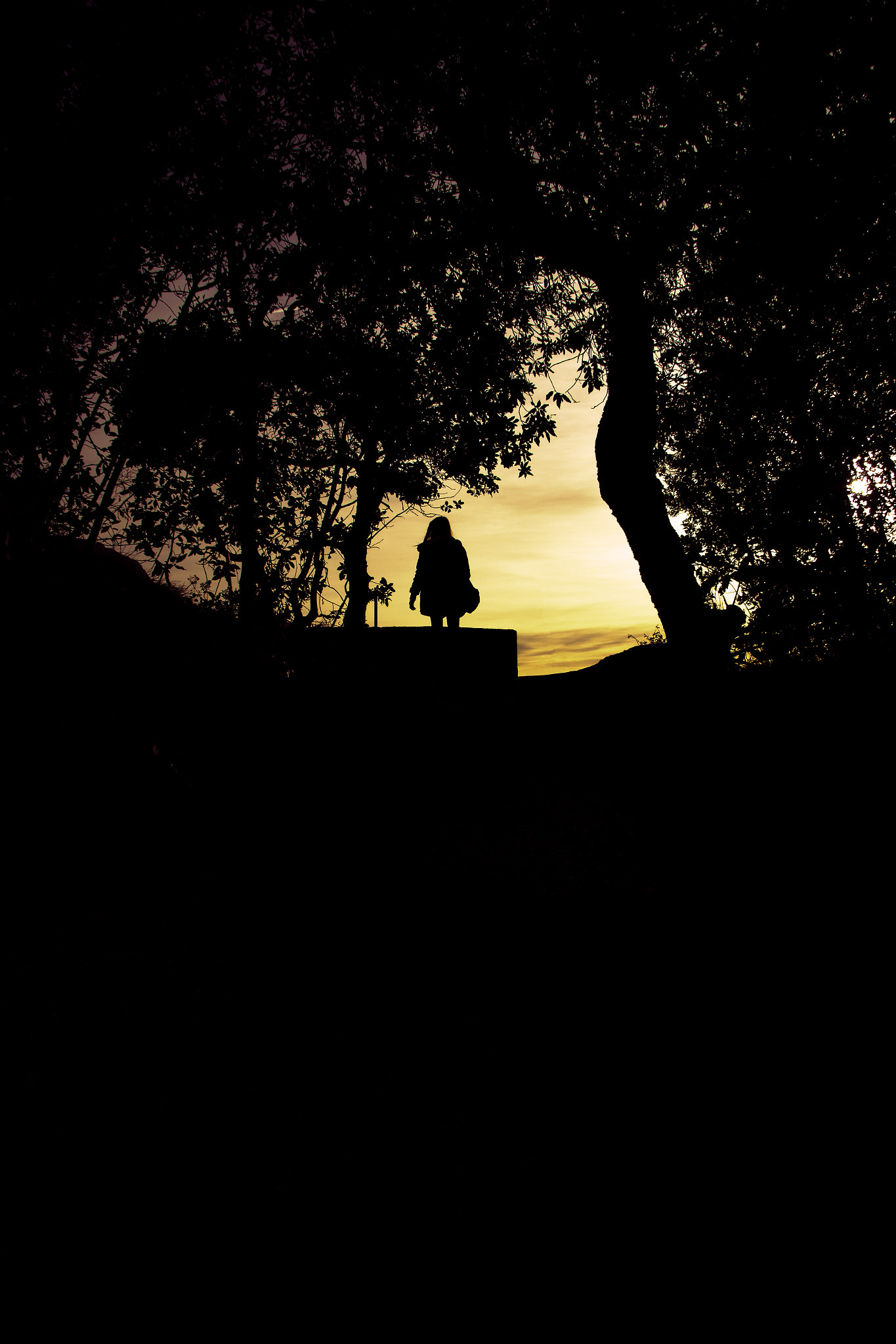 Canon EF-S 17-85mm F4-5.6 IS USM sample photo. Darkness follow dreams photography