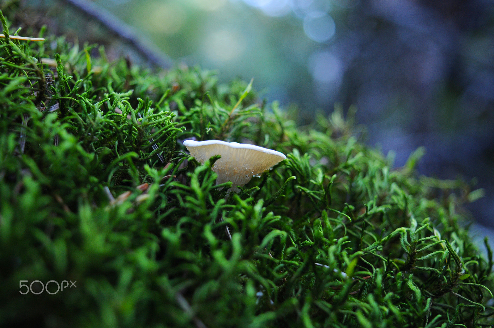Nikon D300 sample photo. We have landed photography