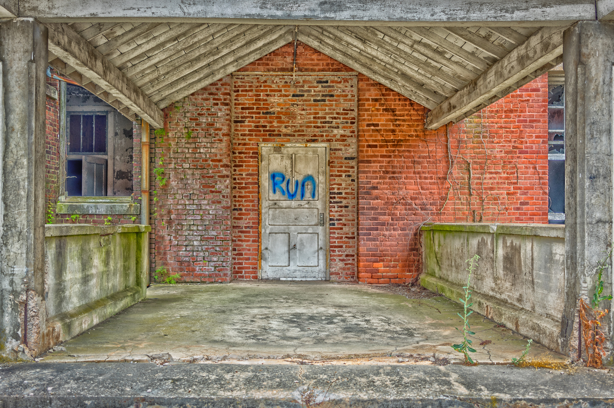 Pentax K-3 sample photo. Run..... photography