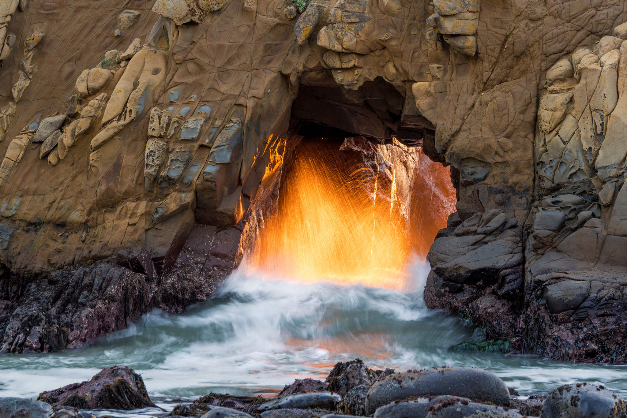 Sony 70-300mm F4.5-5.6 G SSM sample photo. Golden door photography