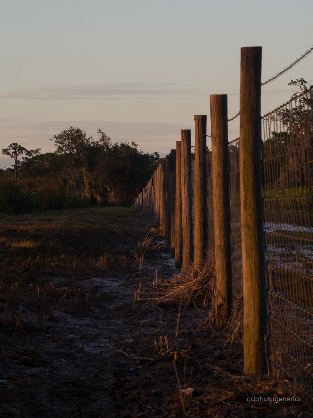 Olympus Zuiko Digital ED 70-300mm F4.0-5.6 sample photo. One afternoon... photography