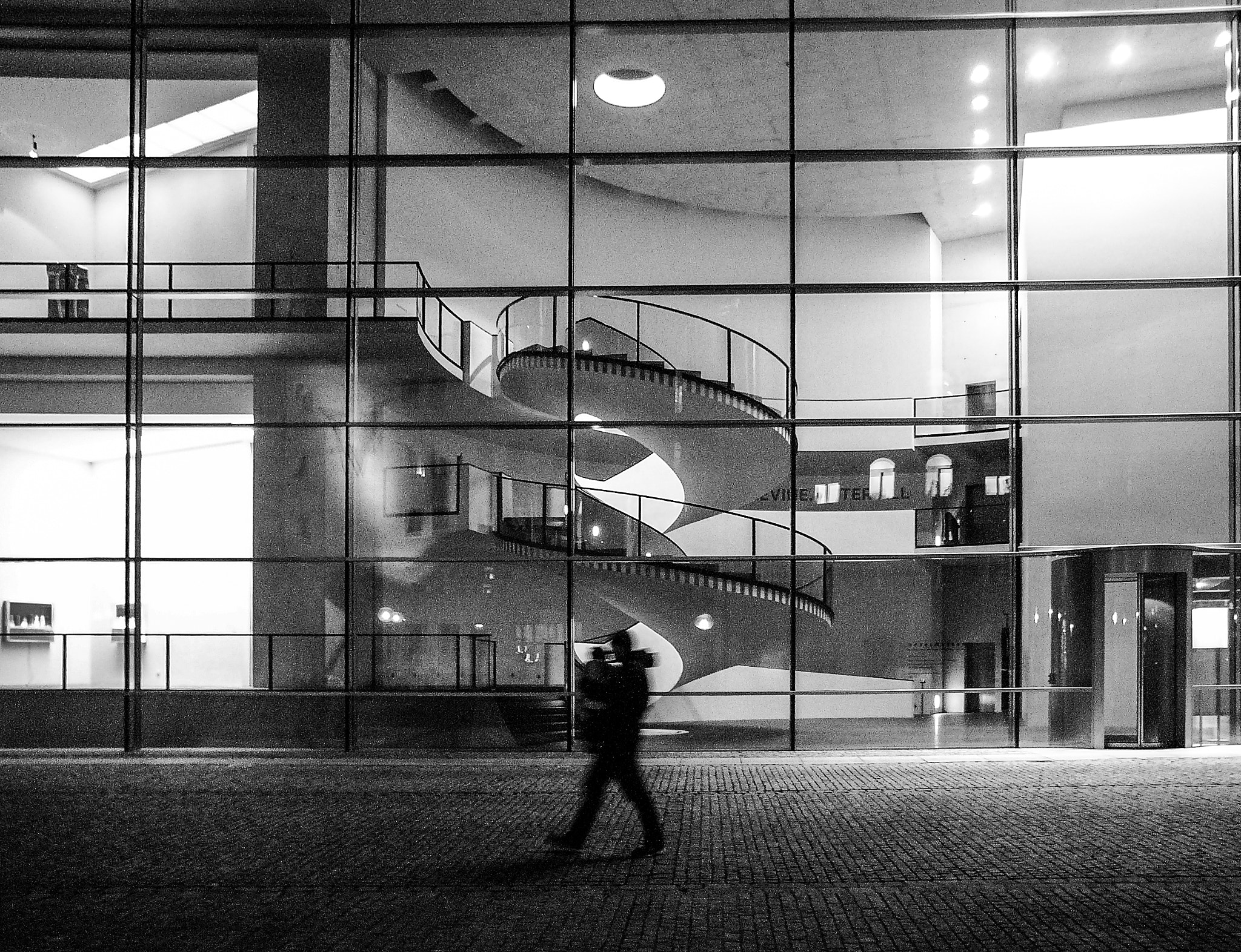 Leica DIGILUX 2 sample photo. Walking by photography