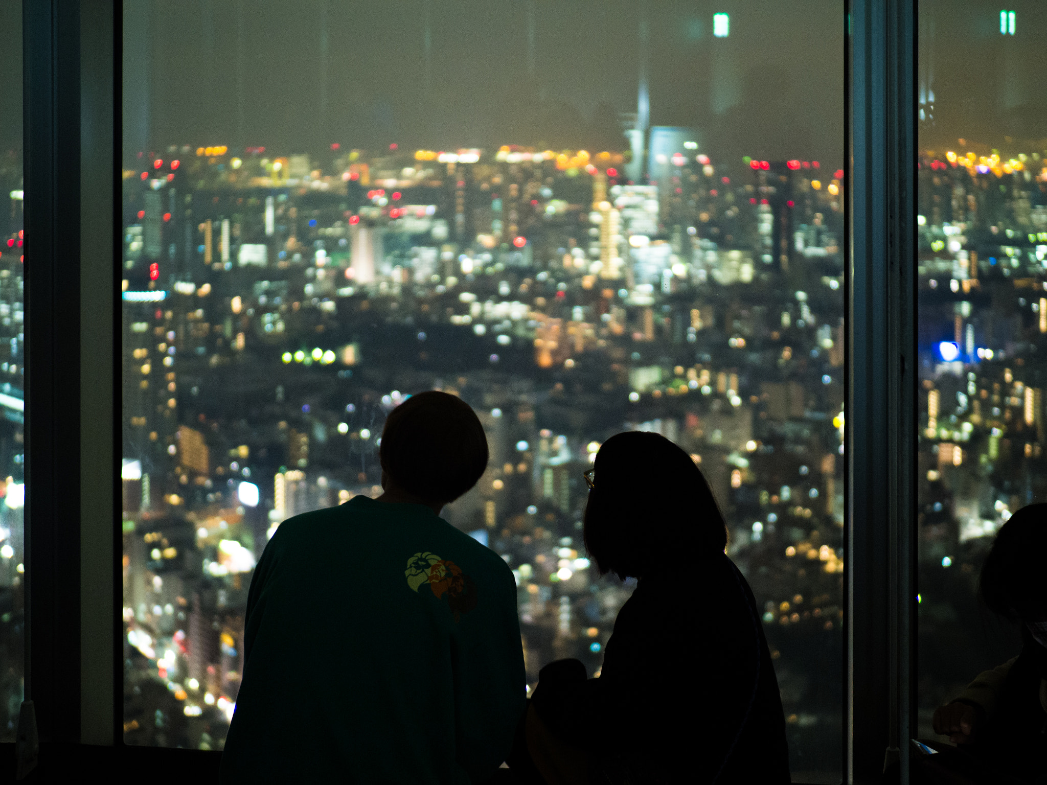 Olympus OM-D E-M1 Mark II + OLYMPUS M.25mm F1.2 sample photo. Watching down the skyline photography